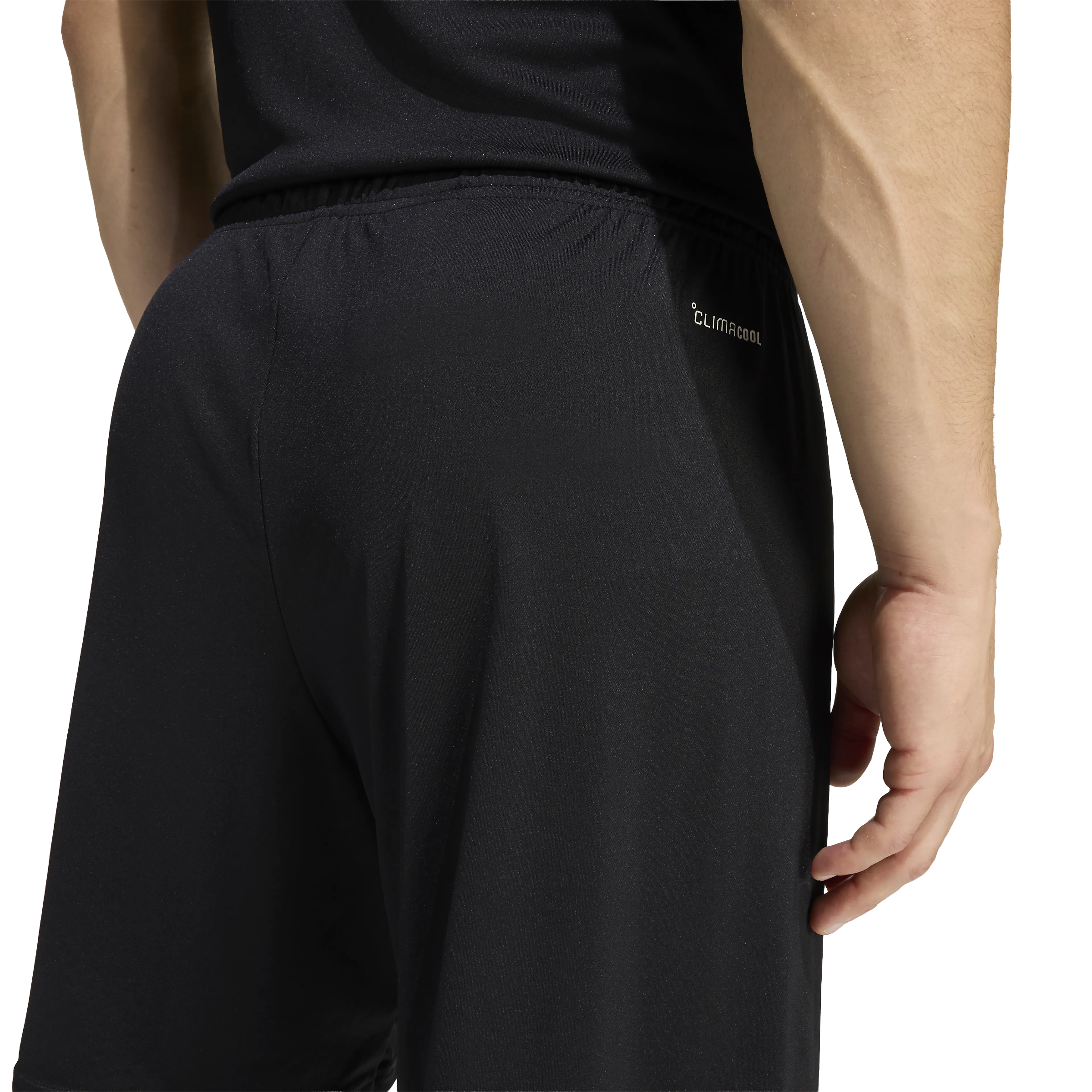 Entrada26 Shorts  