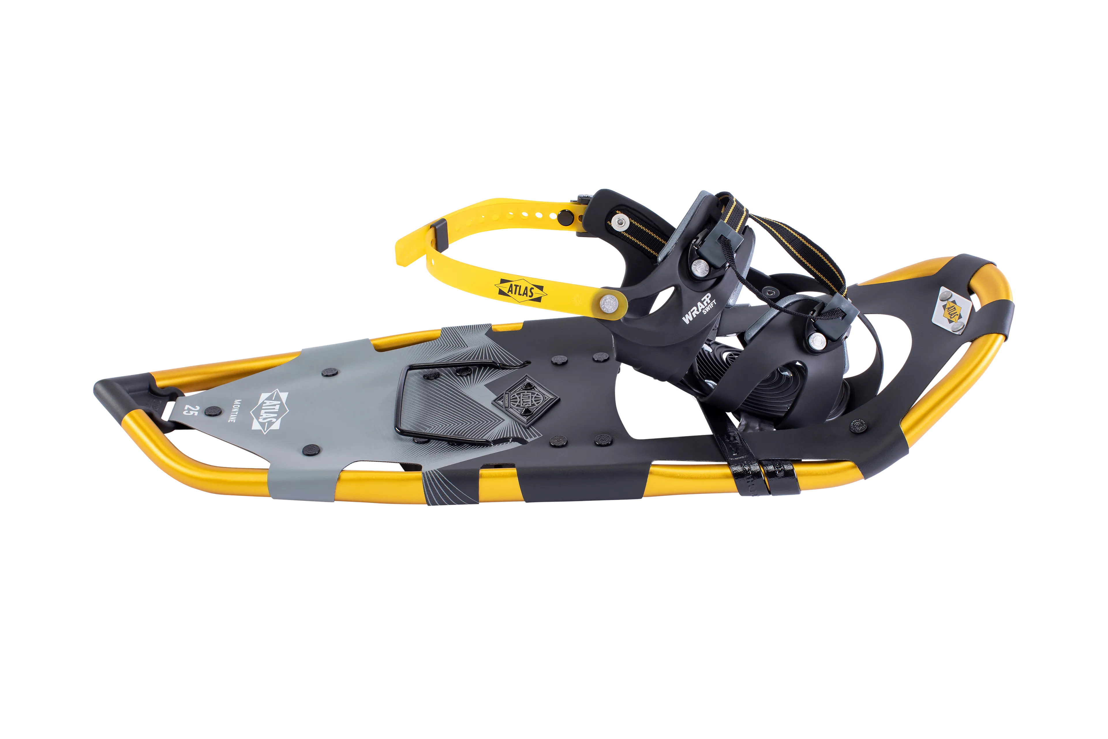Montane