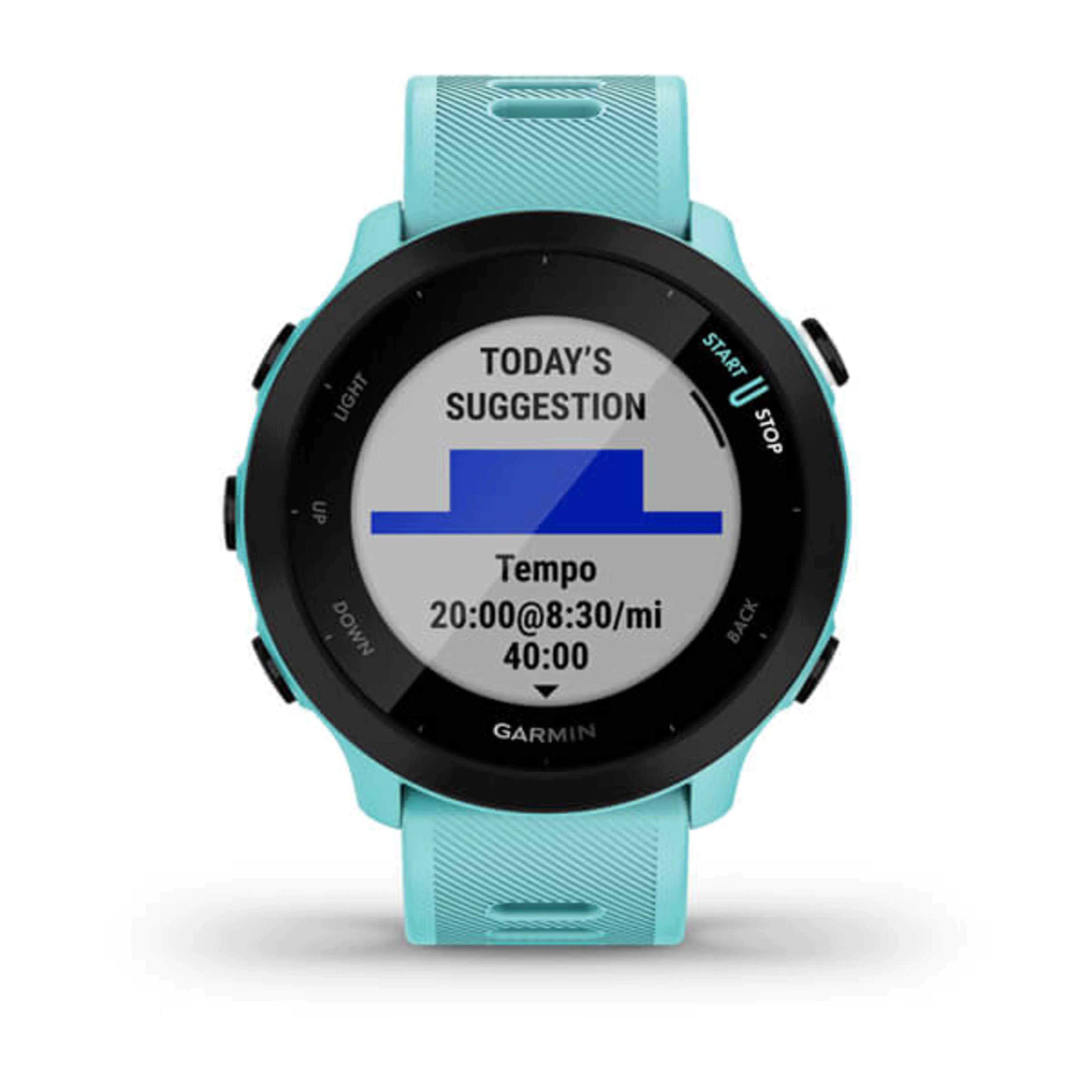 Forerunner 55 GPS Forerunner 55 GPS