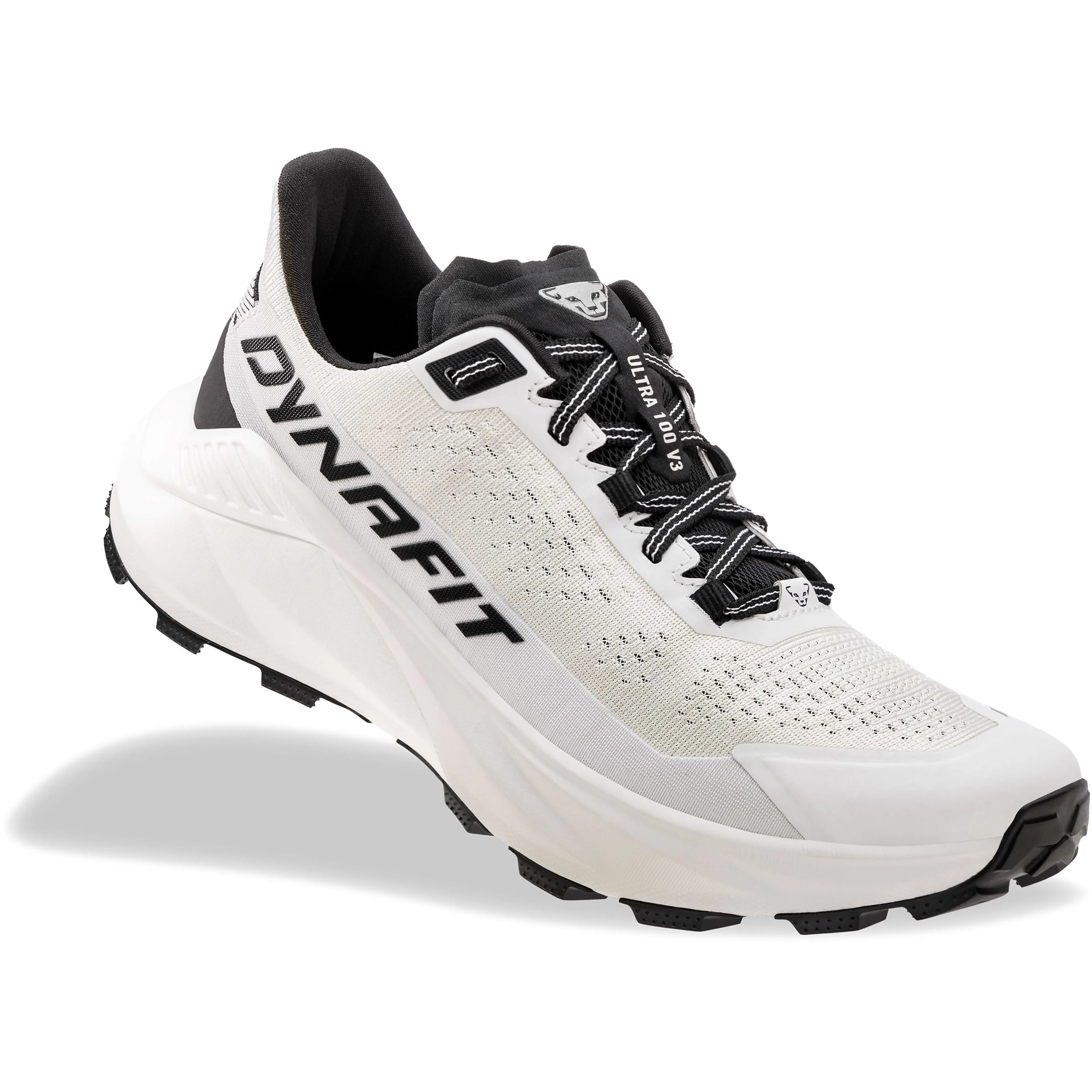 ULTRA 100 V3