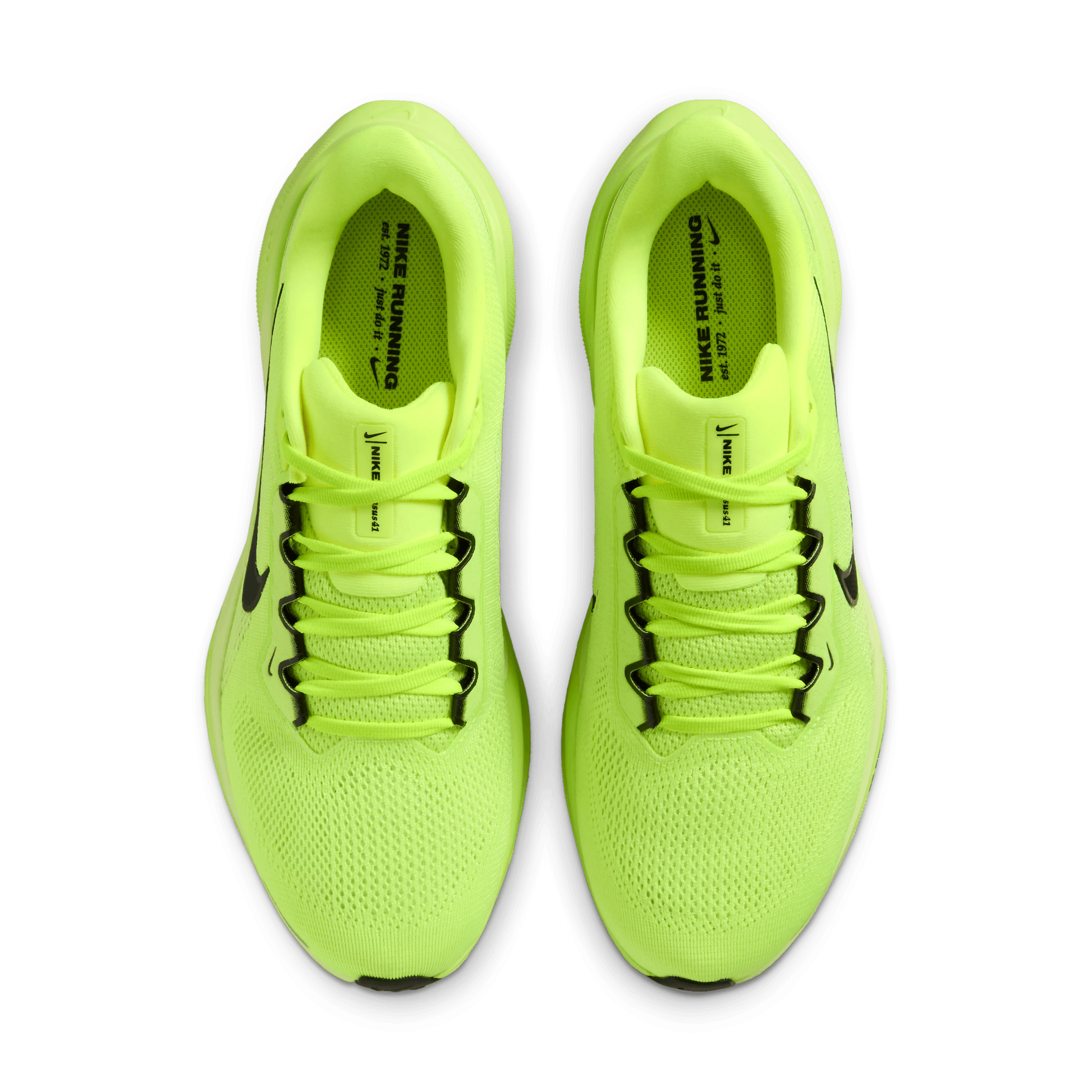  Pegasus 41