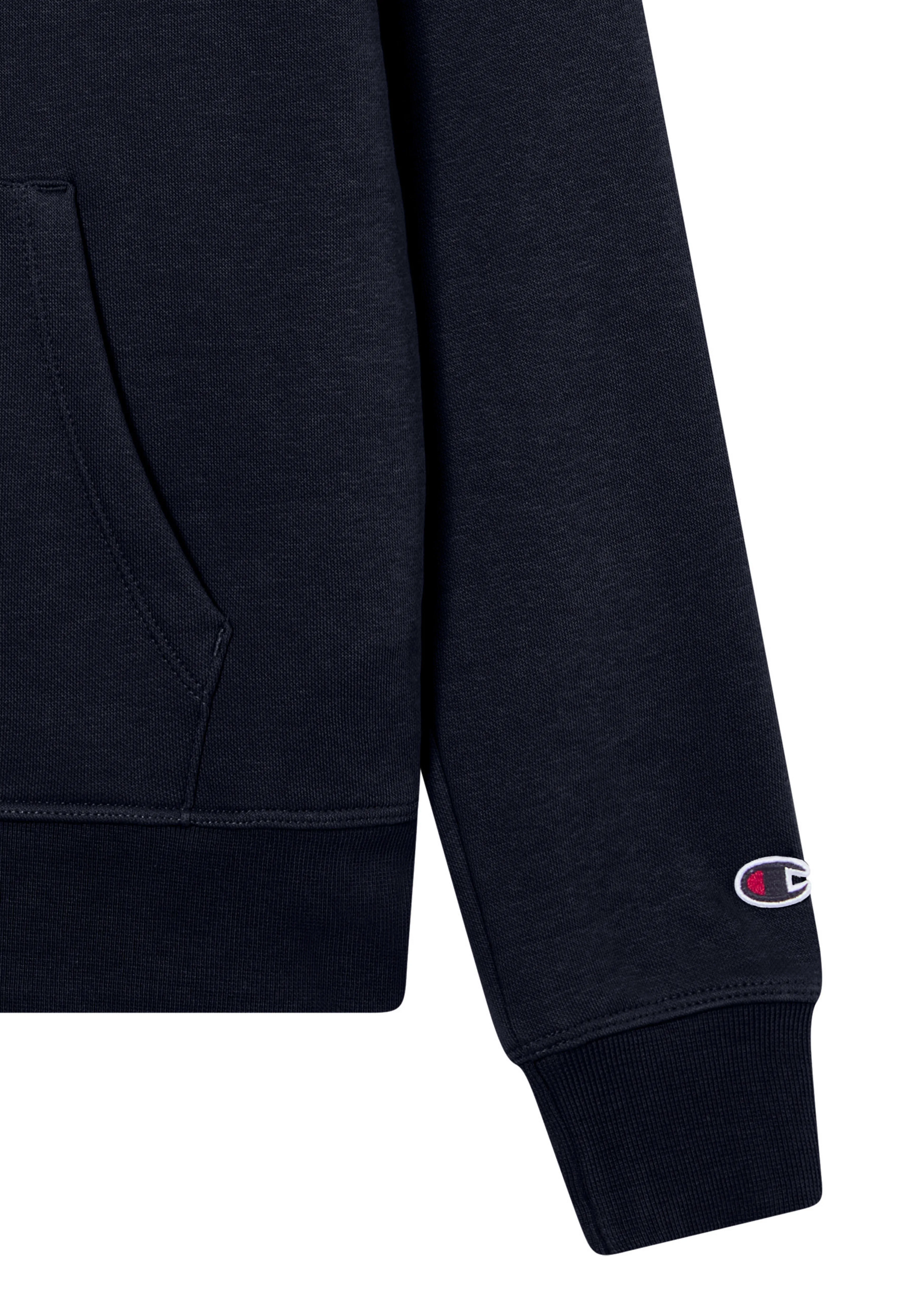 ICONS CONTRAST Fleece Hoodie
