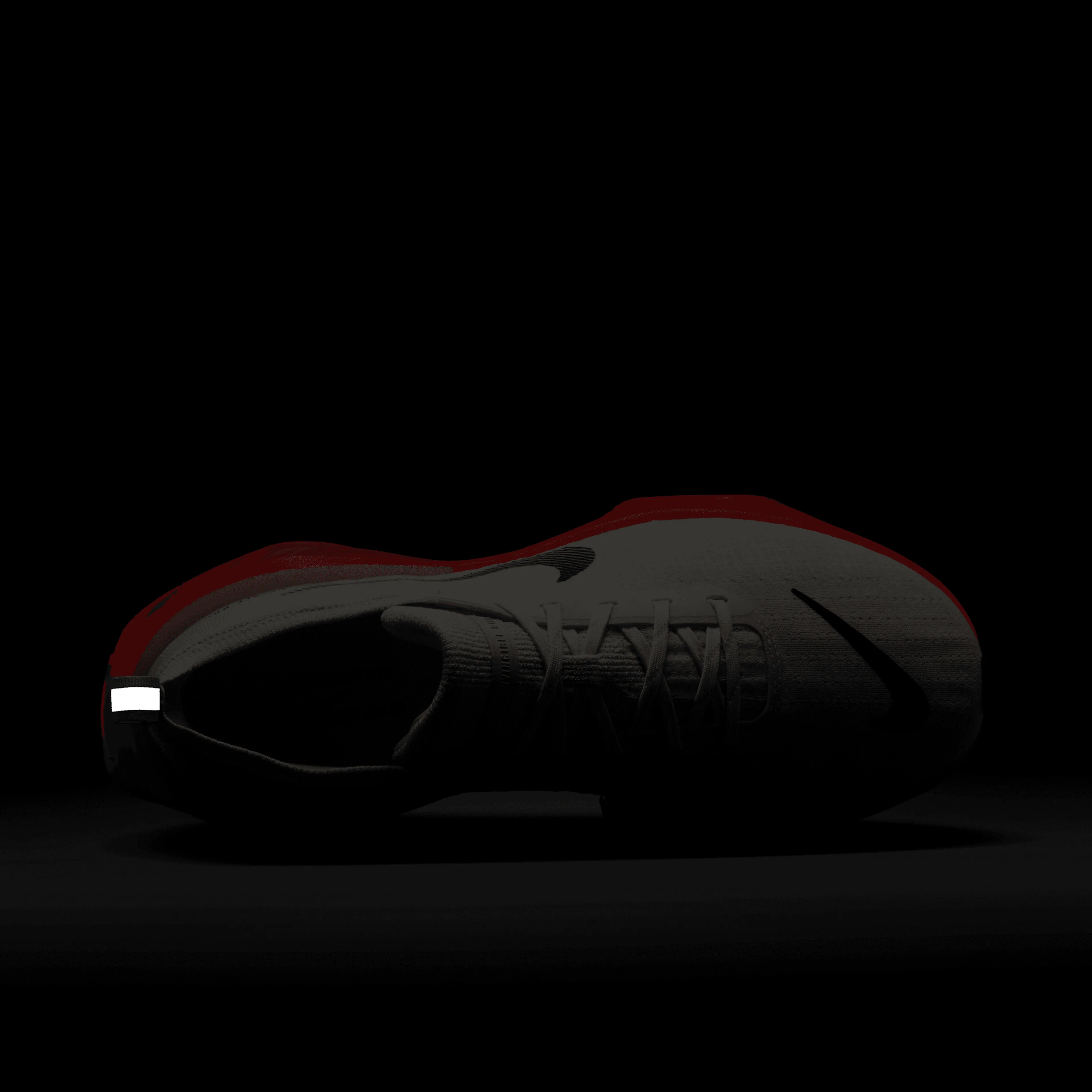 ZoomX Invincible Run 3