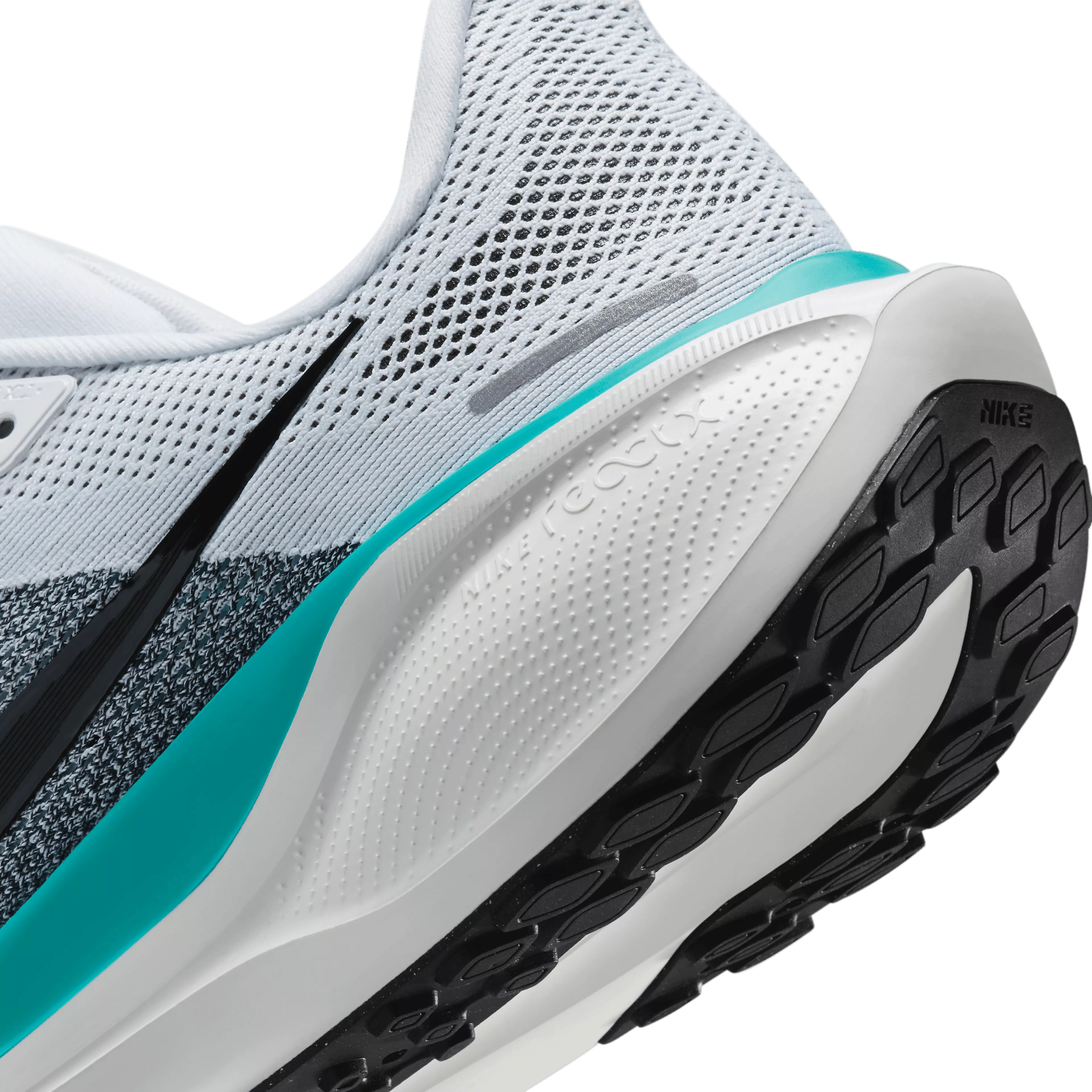 Pegasus 41