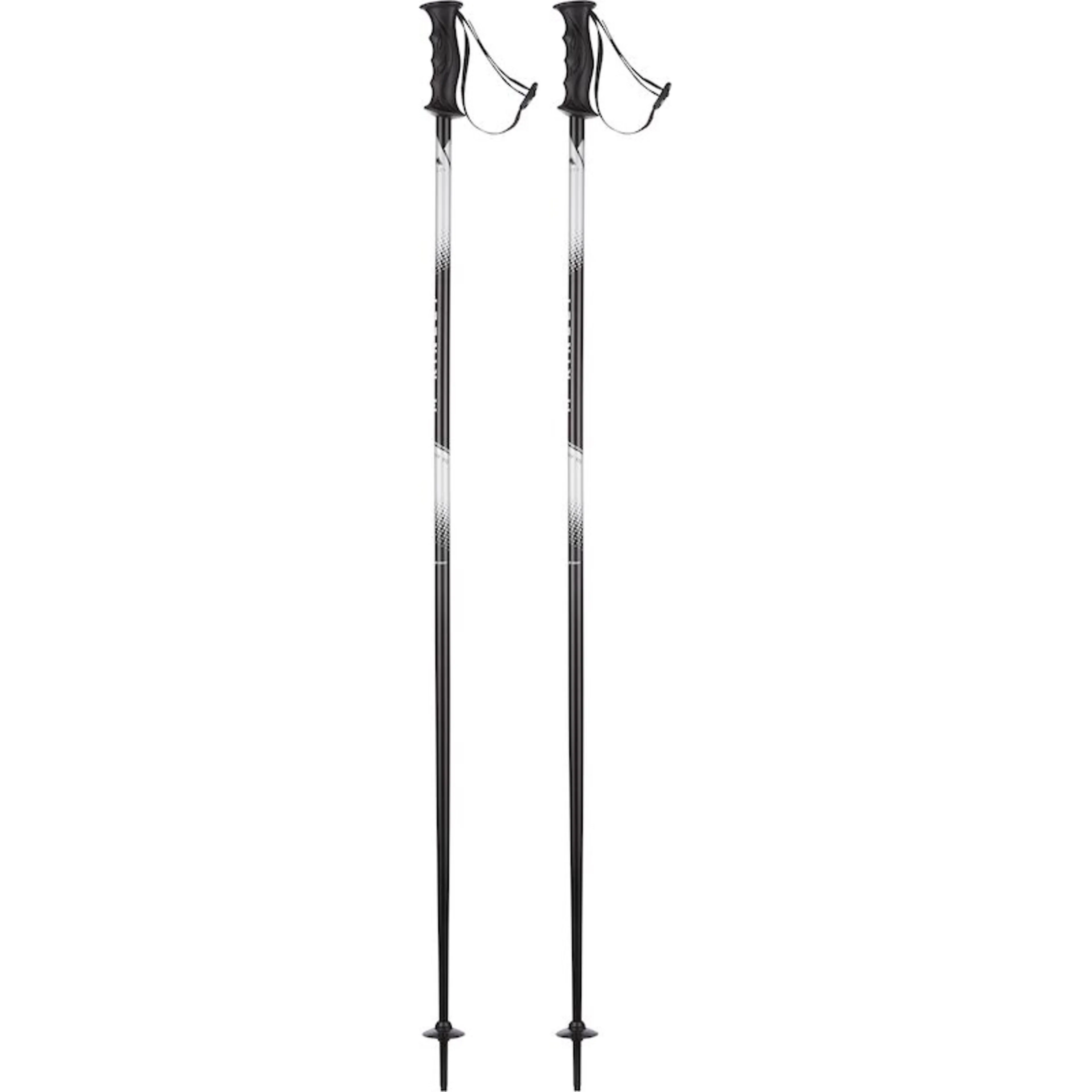 Vector 10 alpinstaver