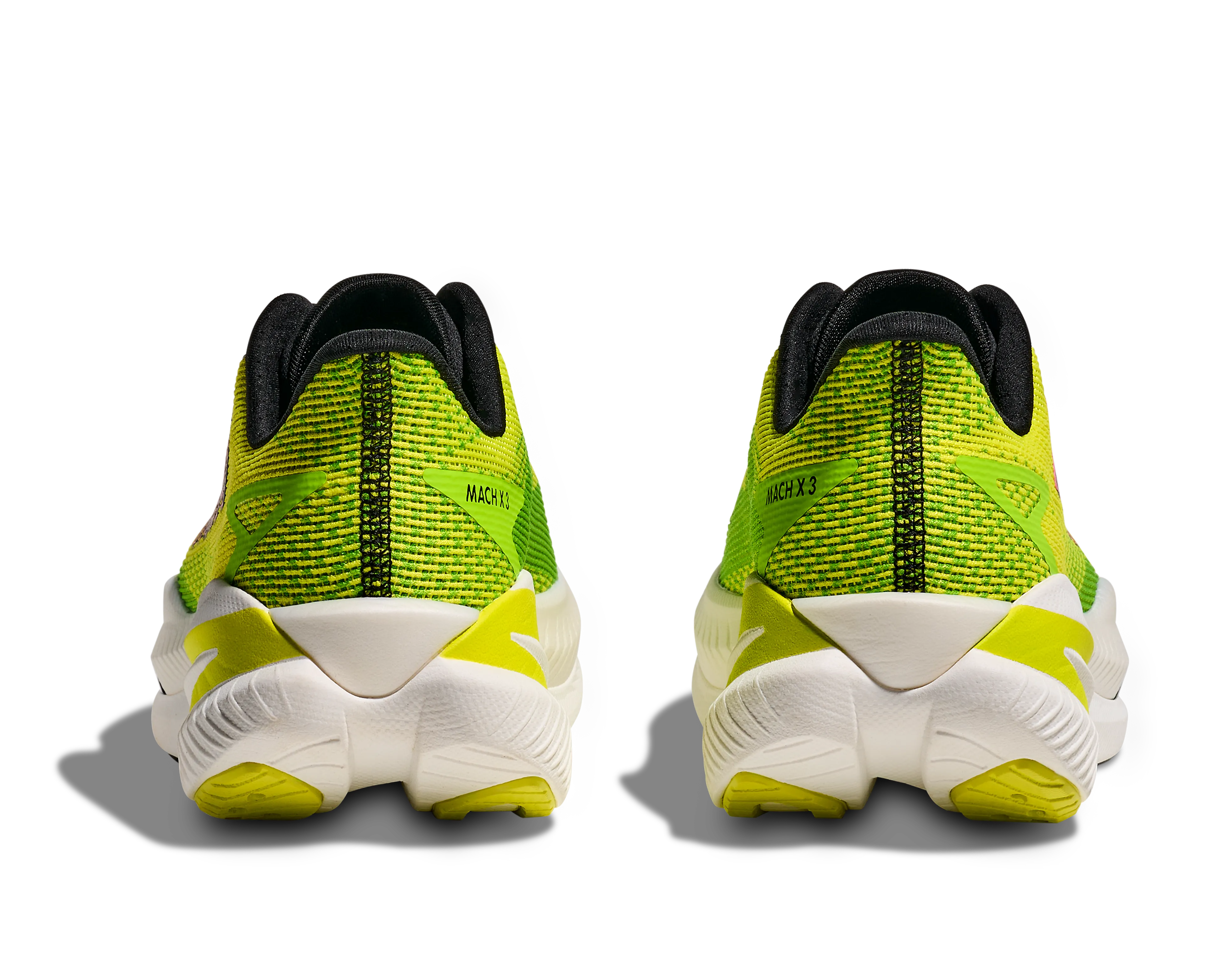 MACH X 3 BRED
