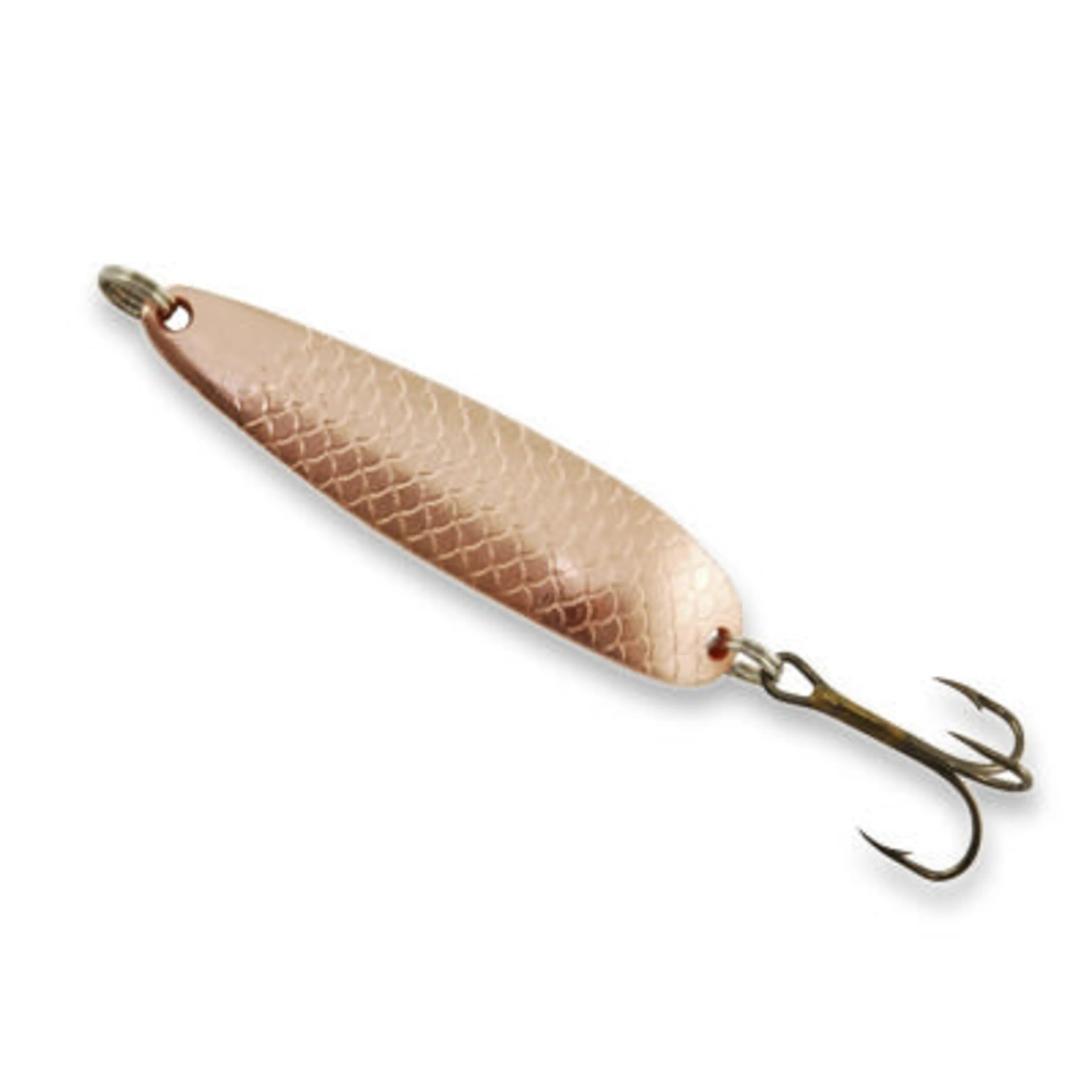 Buch Salmon