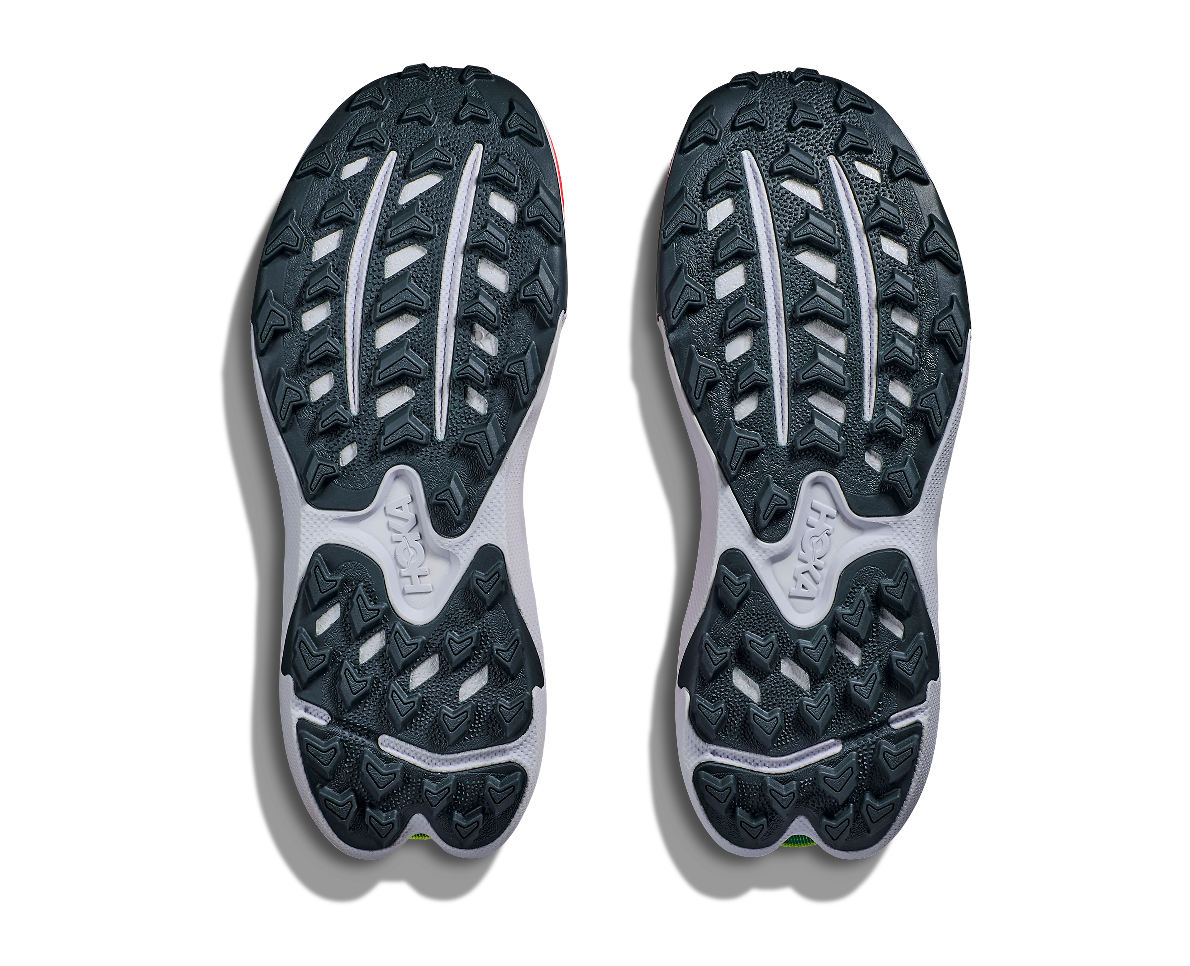 M TORRENT 4