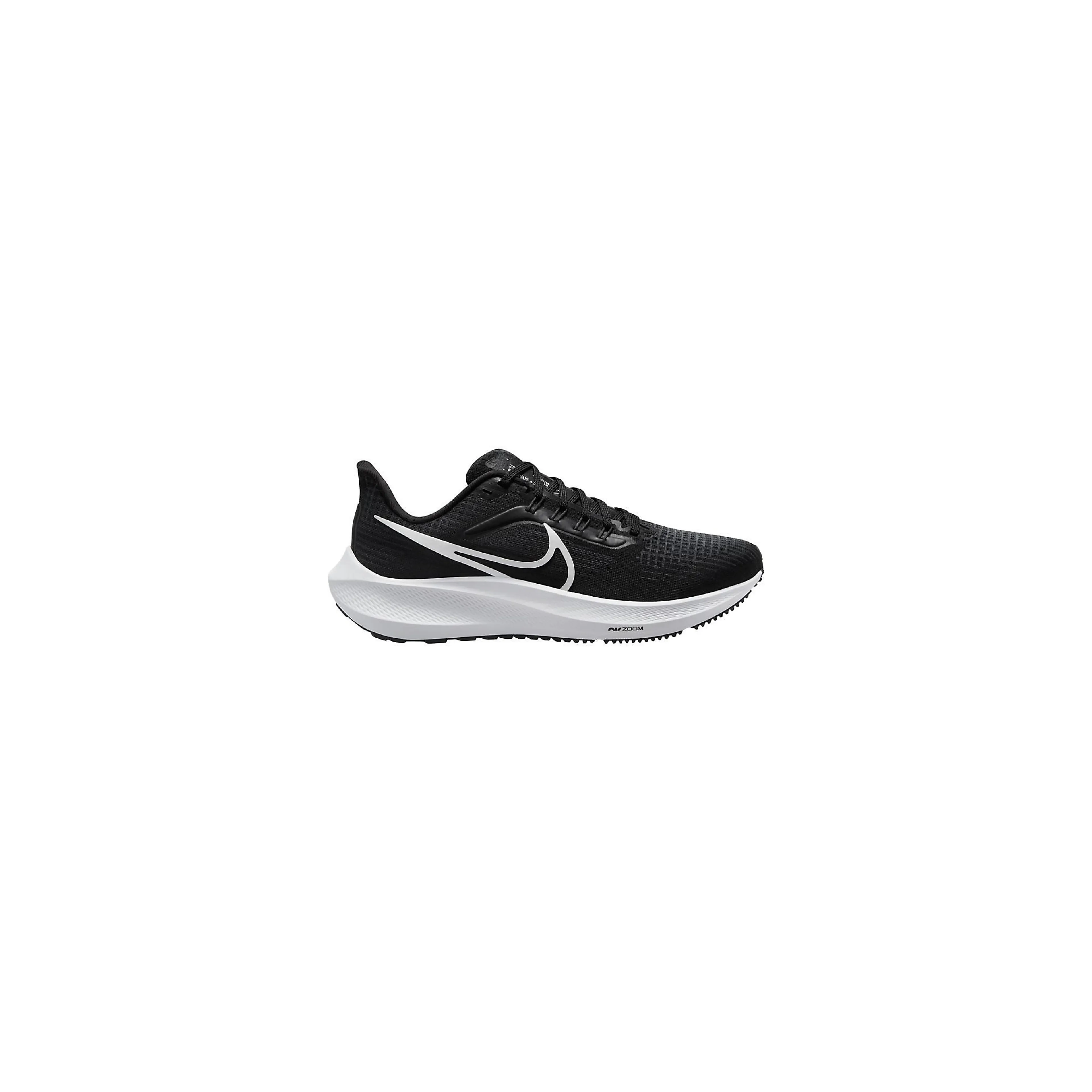Air Zoom Pegasus 39