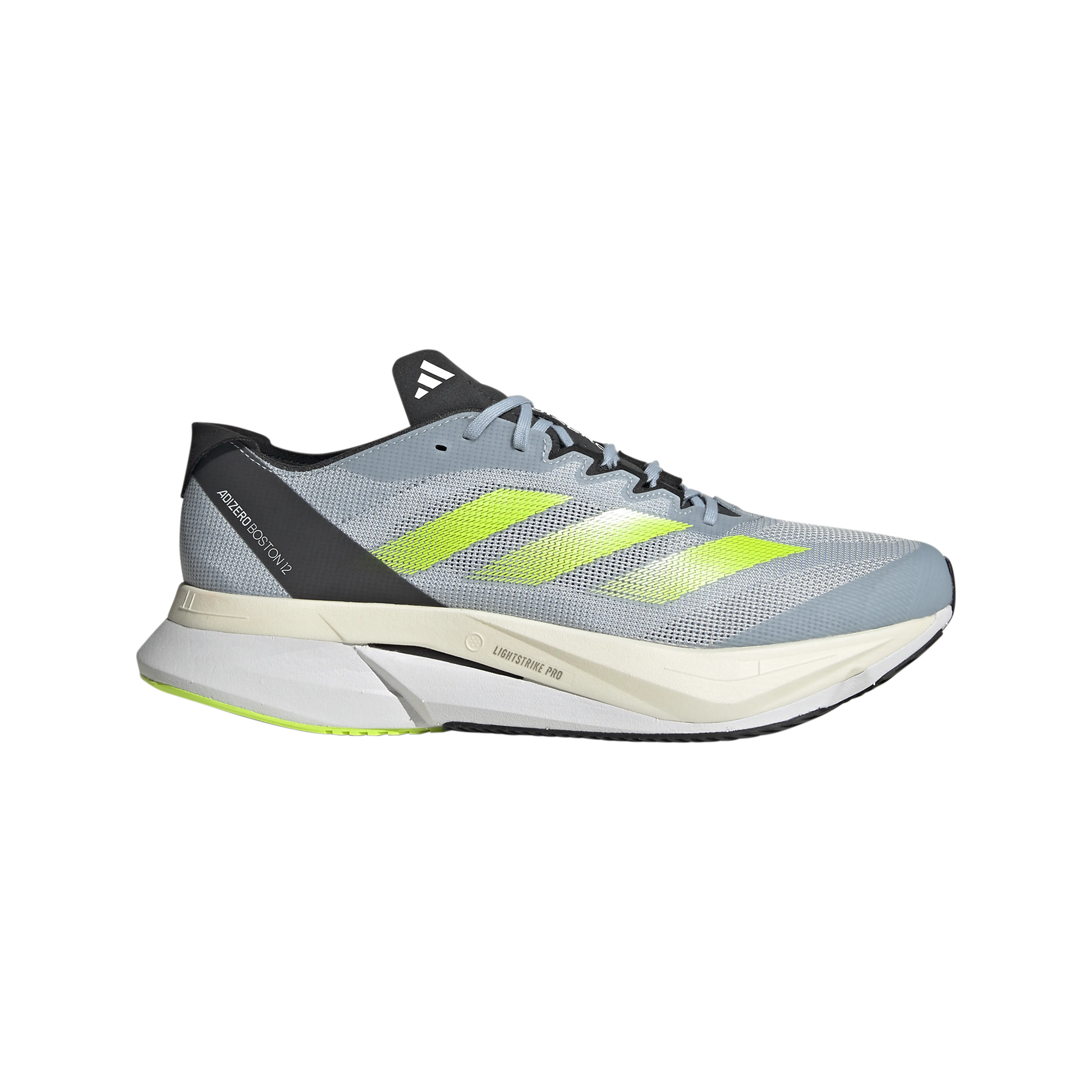 Adizero Boston 12