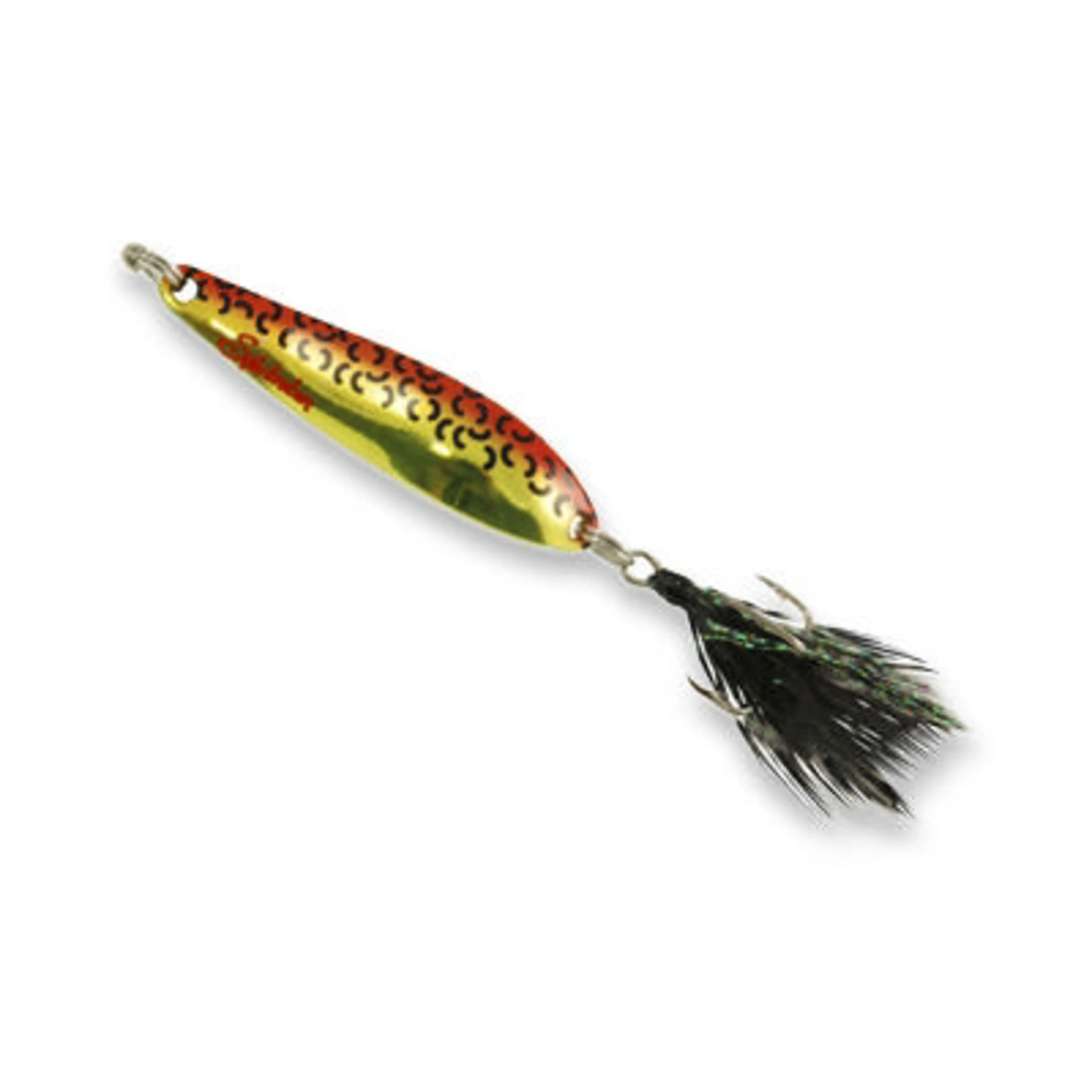 Morild Seatrout