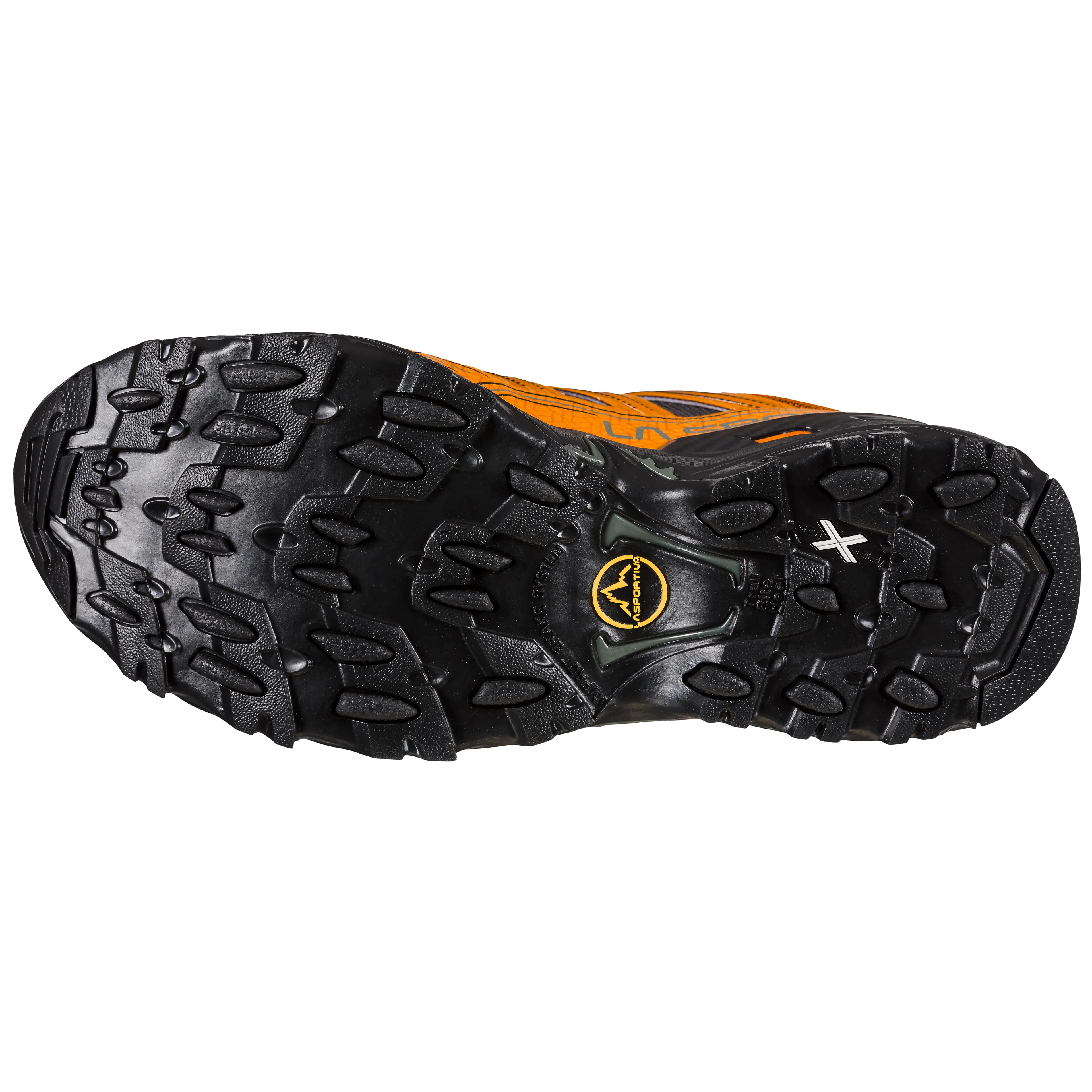 Ultra Raptor II GTX Hikingsko