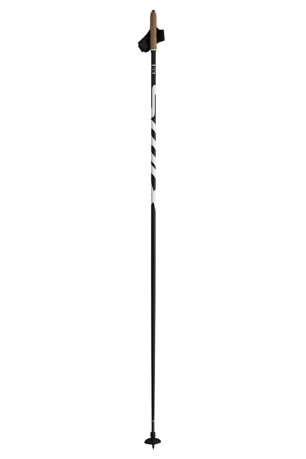 Q4 Pole