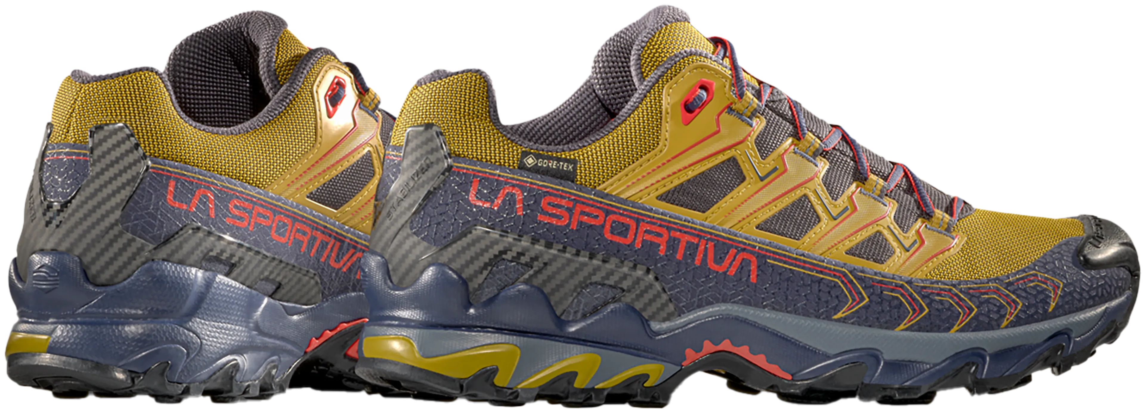 Ultra Raptor II GTX Hikingsko