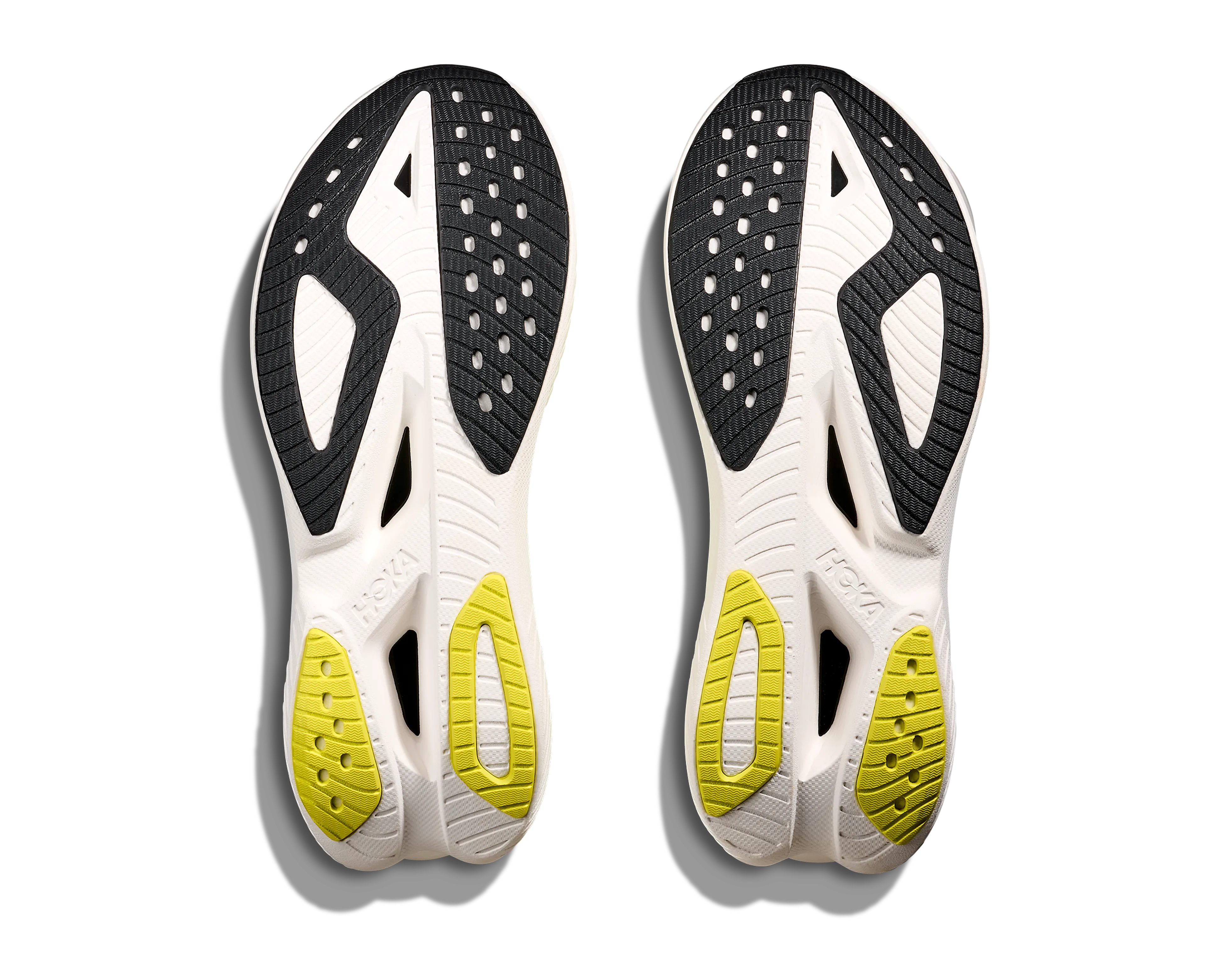 MACH X 3 BRED