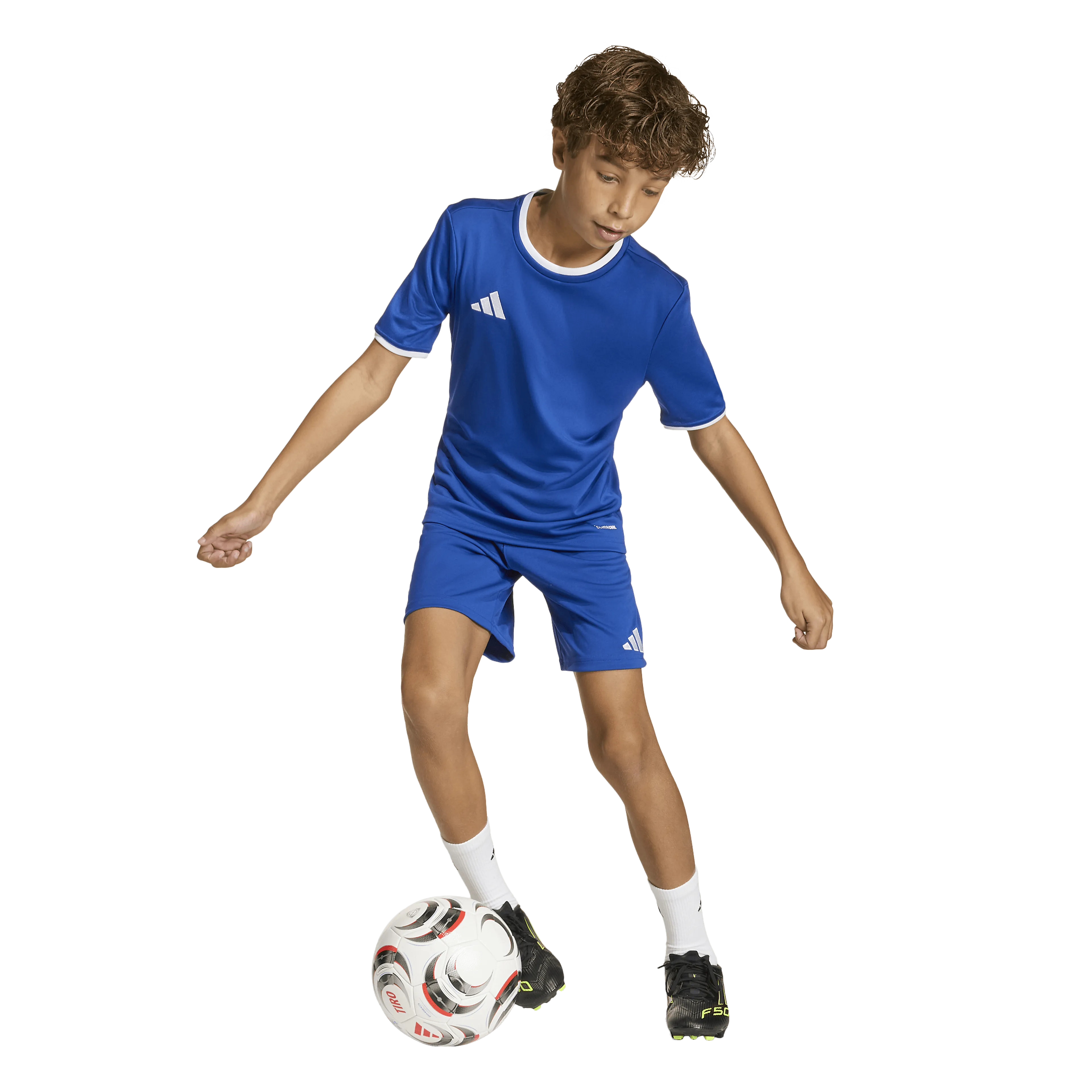 Entrada26 Shorts Junior