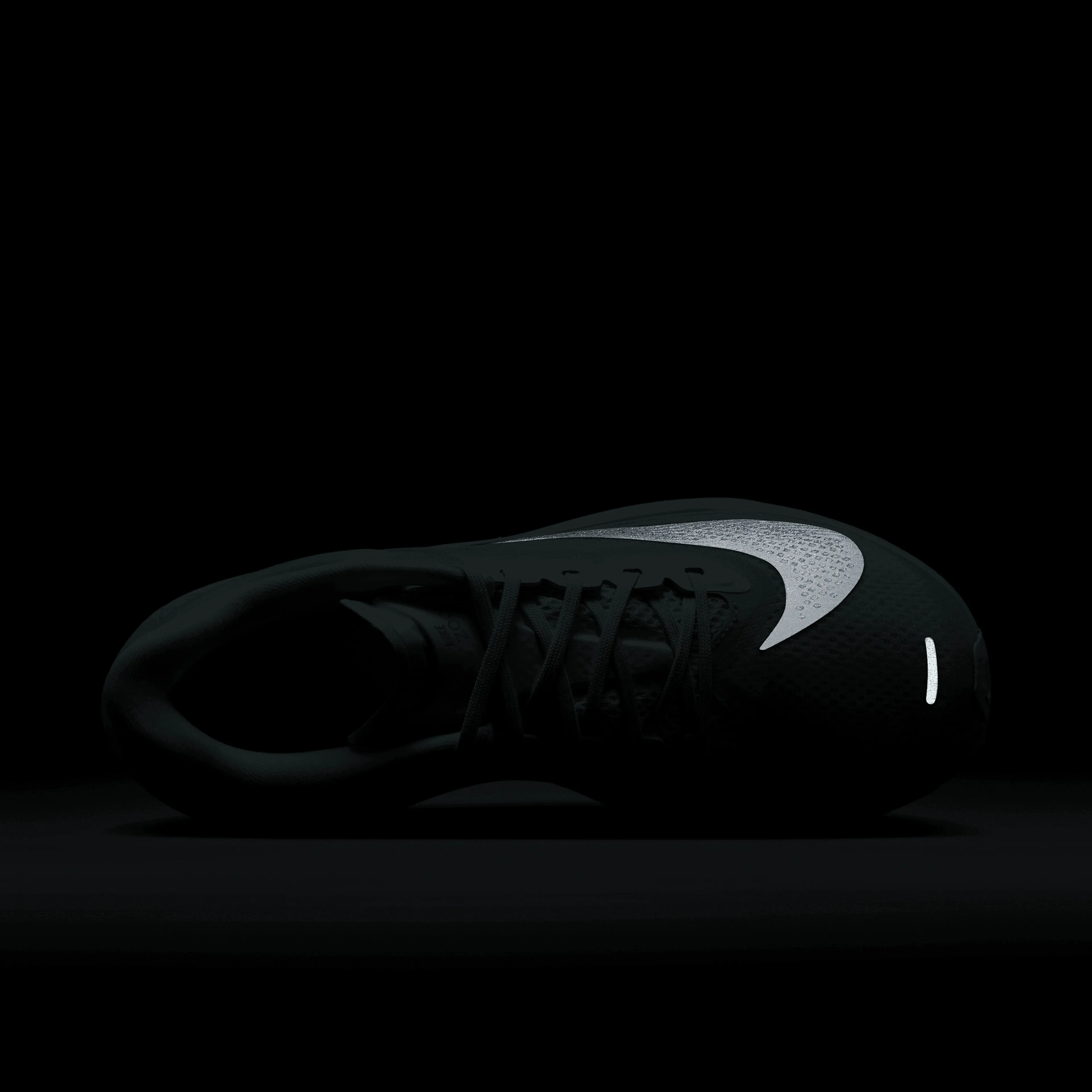 Zoom Fly 6