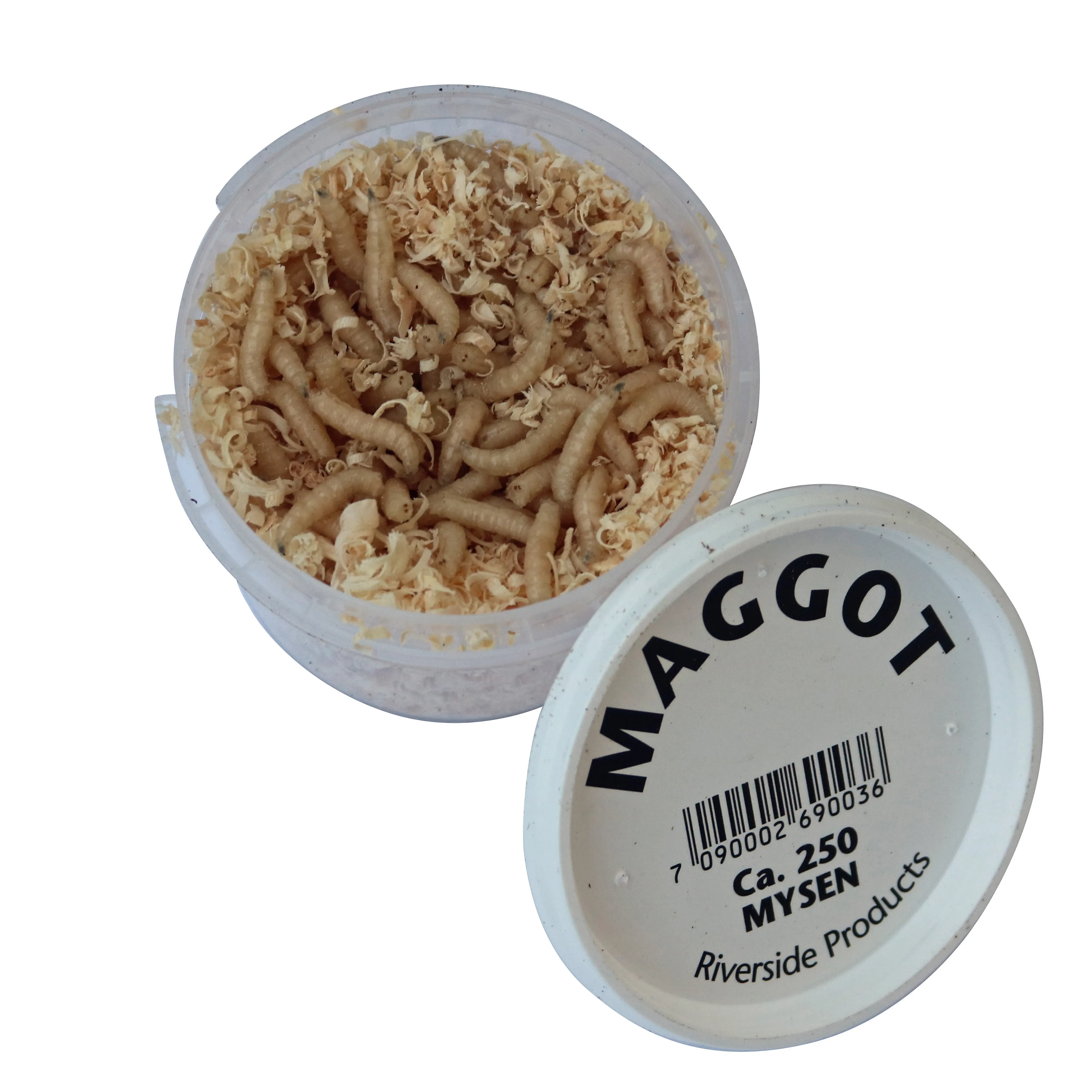 Maggot ca 250 stk