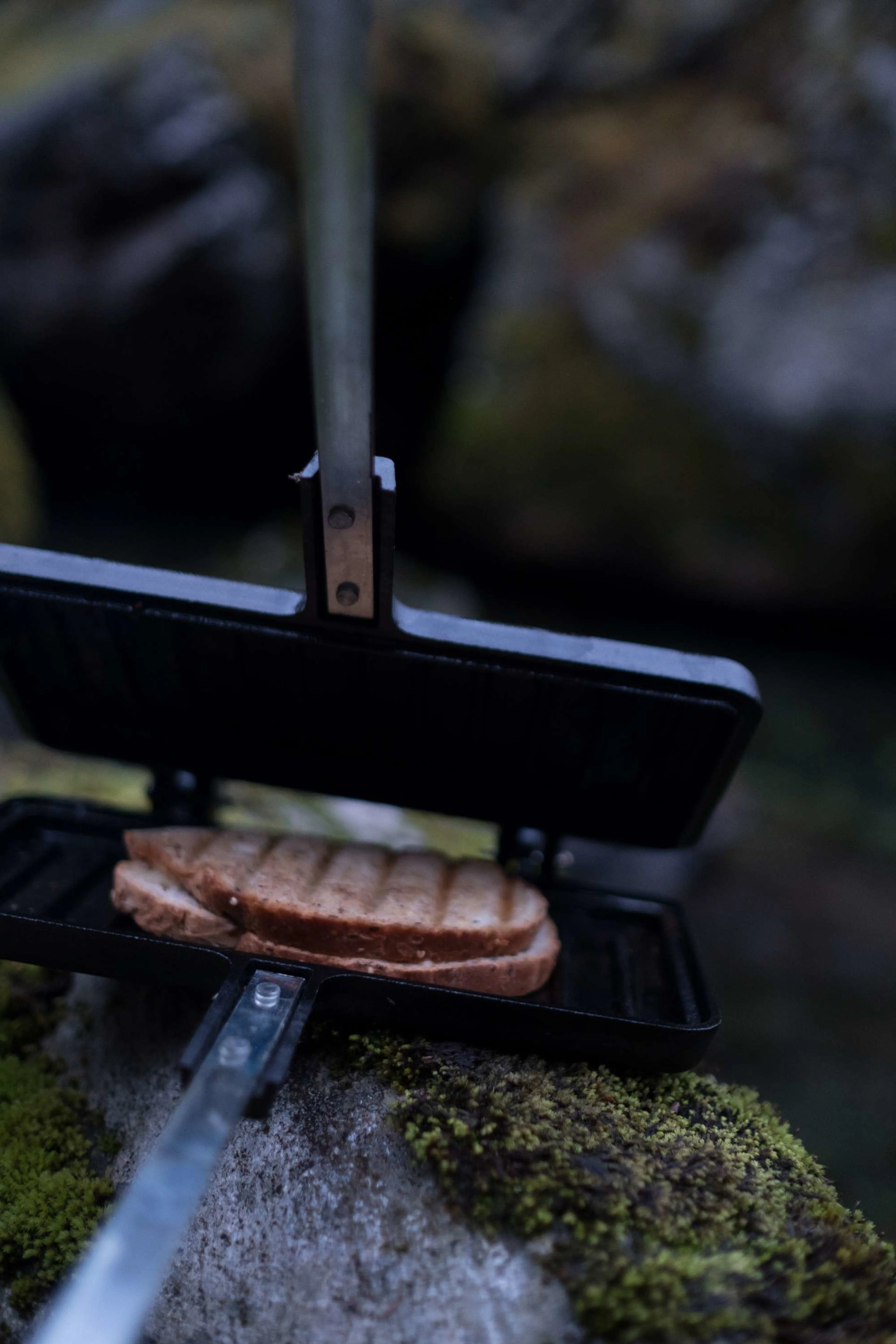 Toastjern