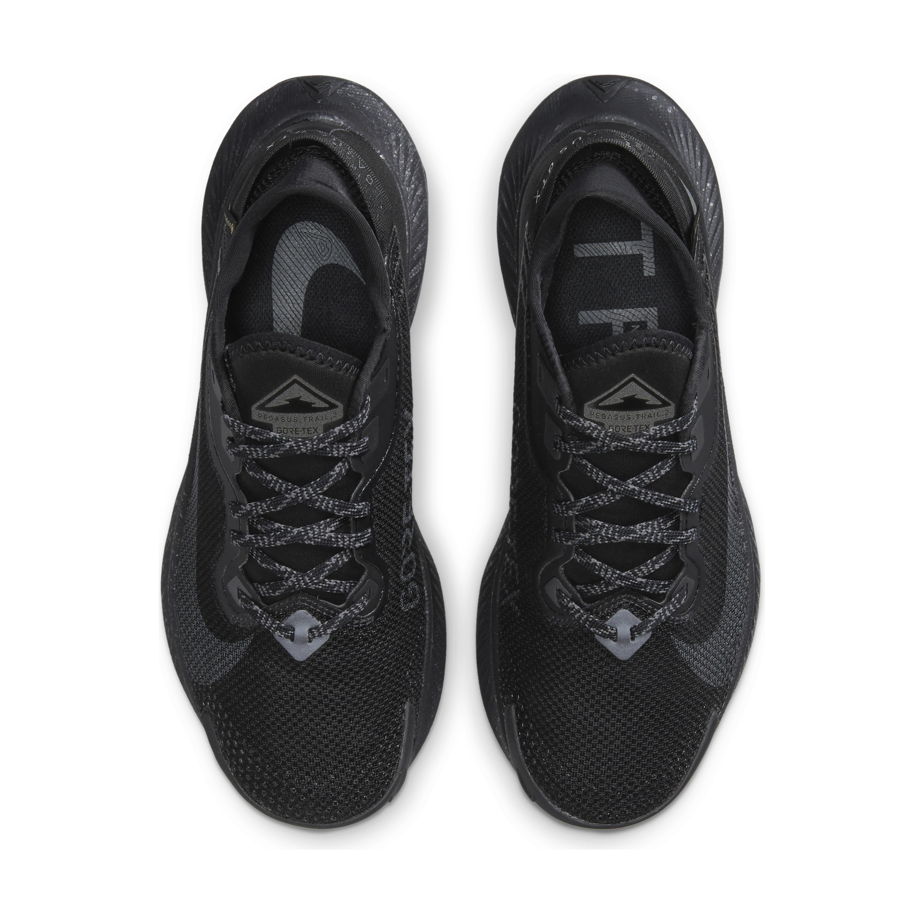 Pegasus Trail 2 GTX