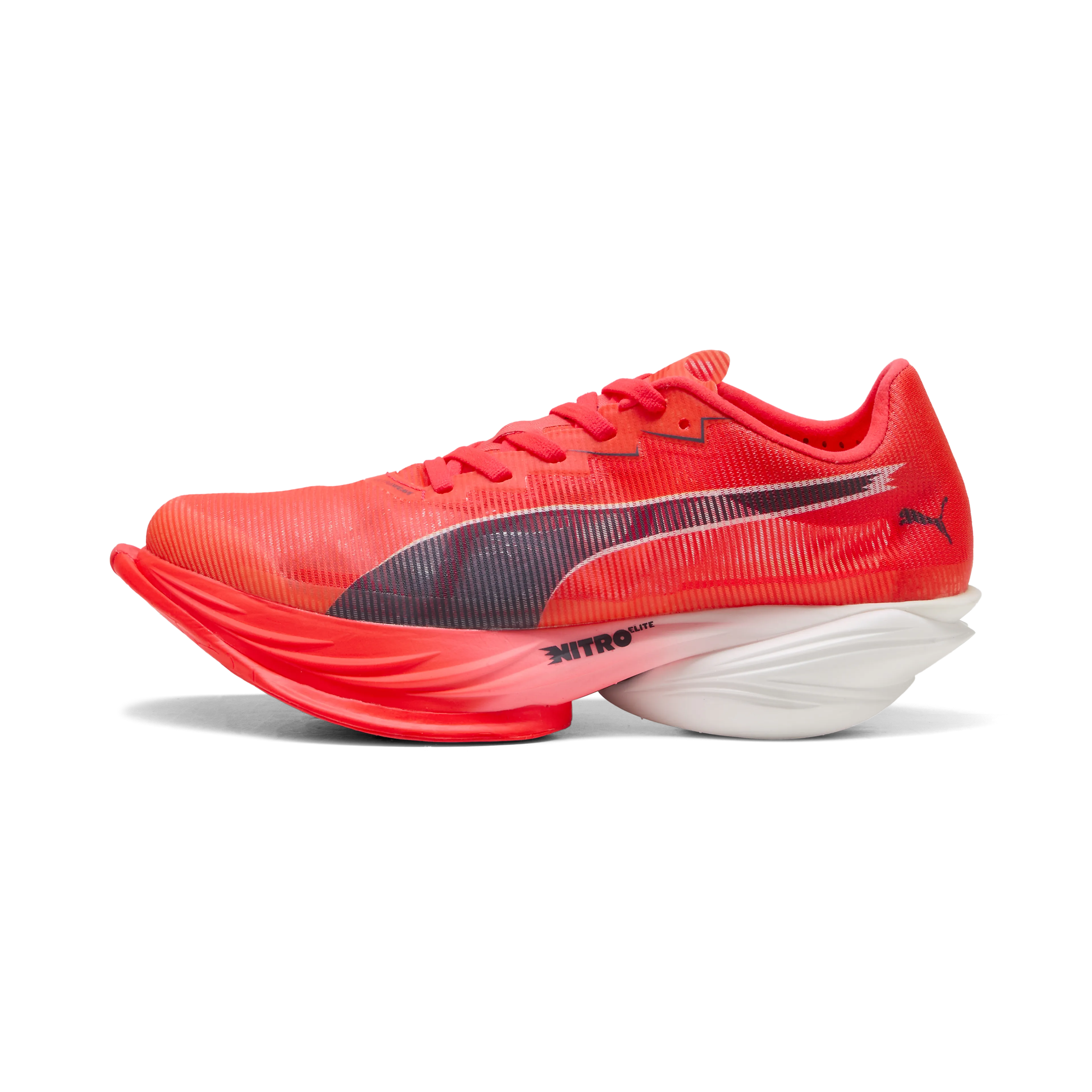Fast-R Nitro Elite 3