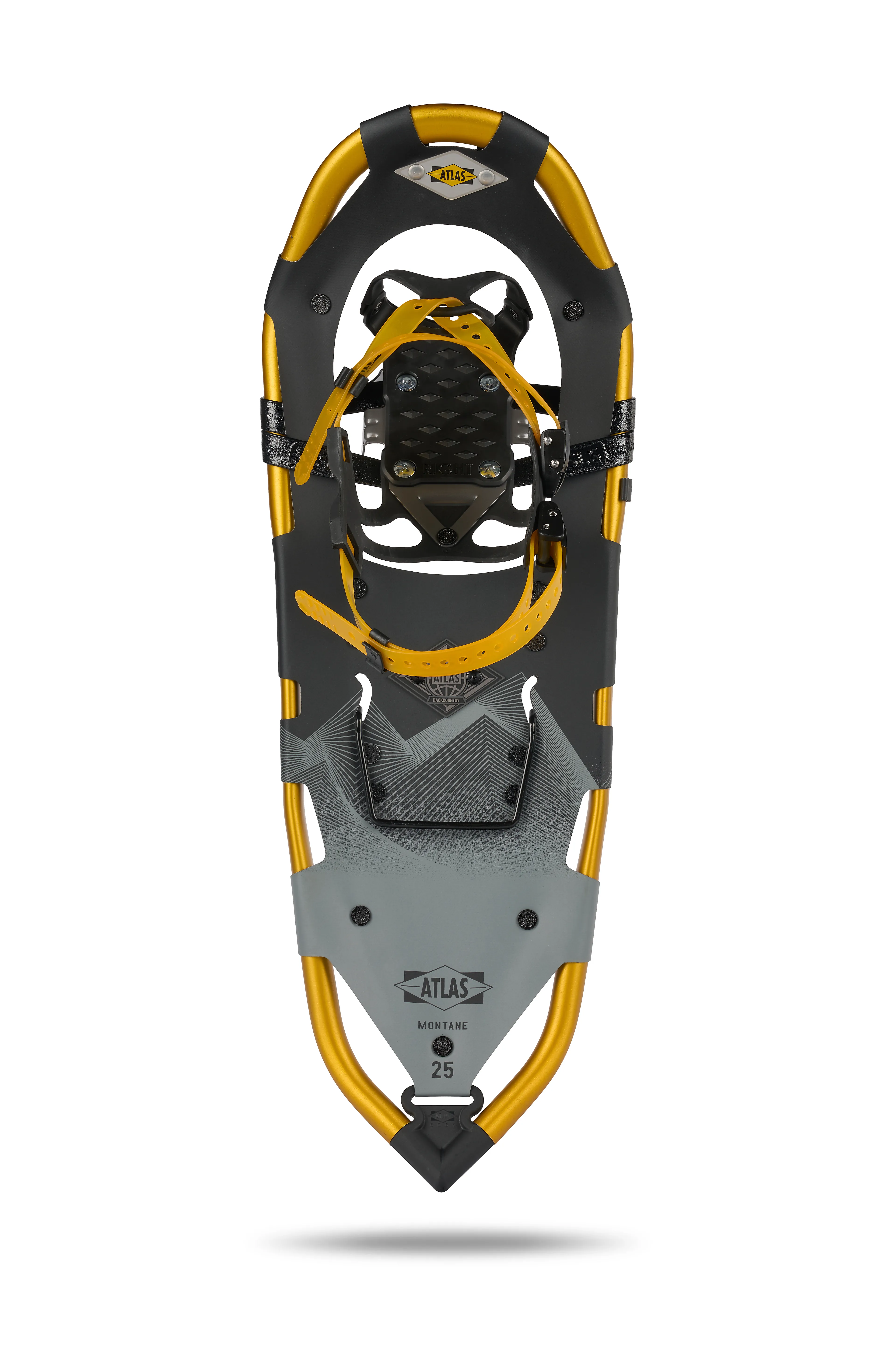 Montane