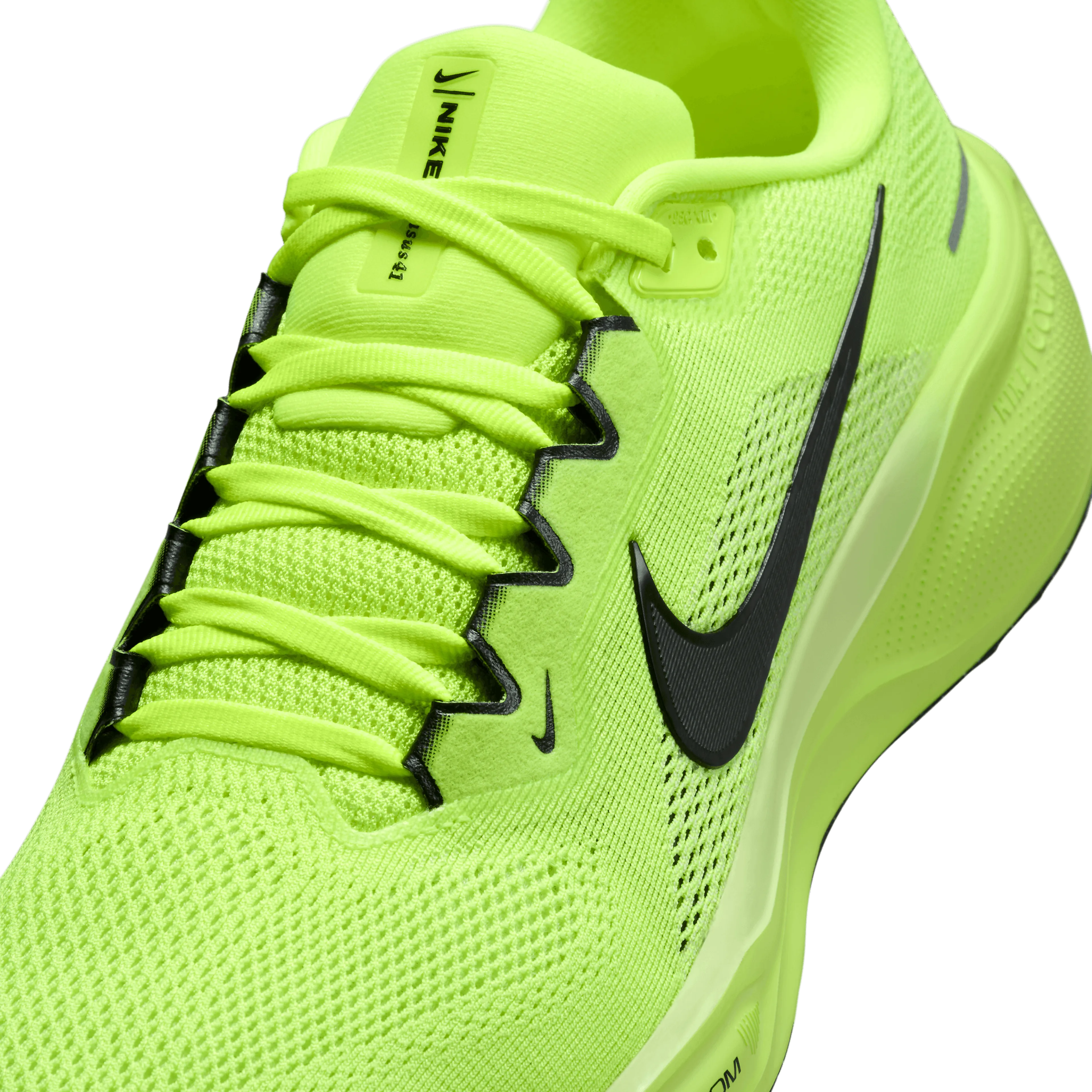  Pegasus 41