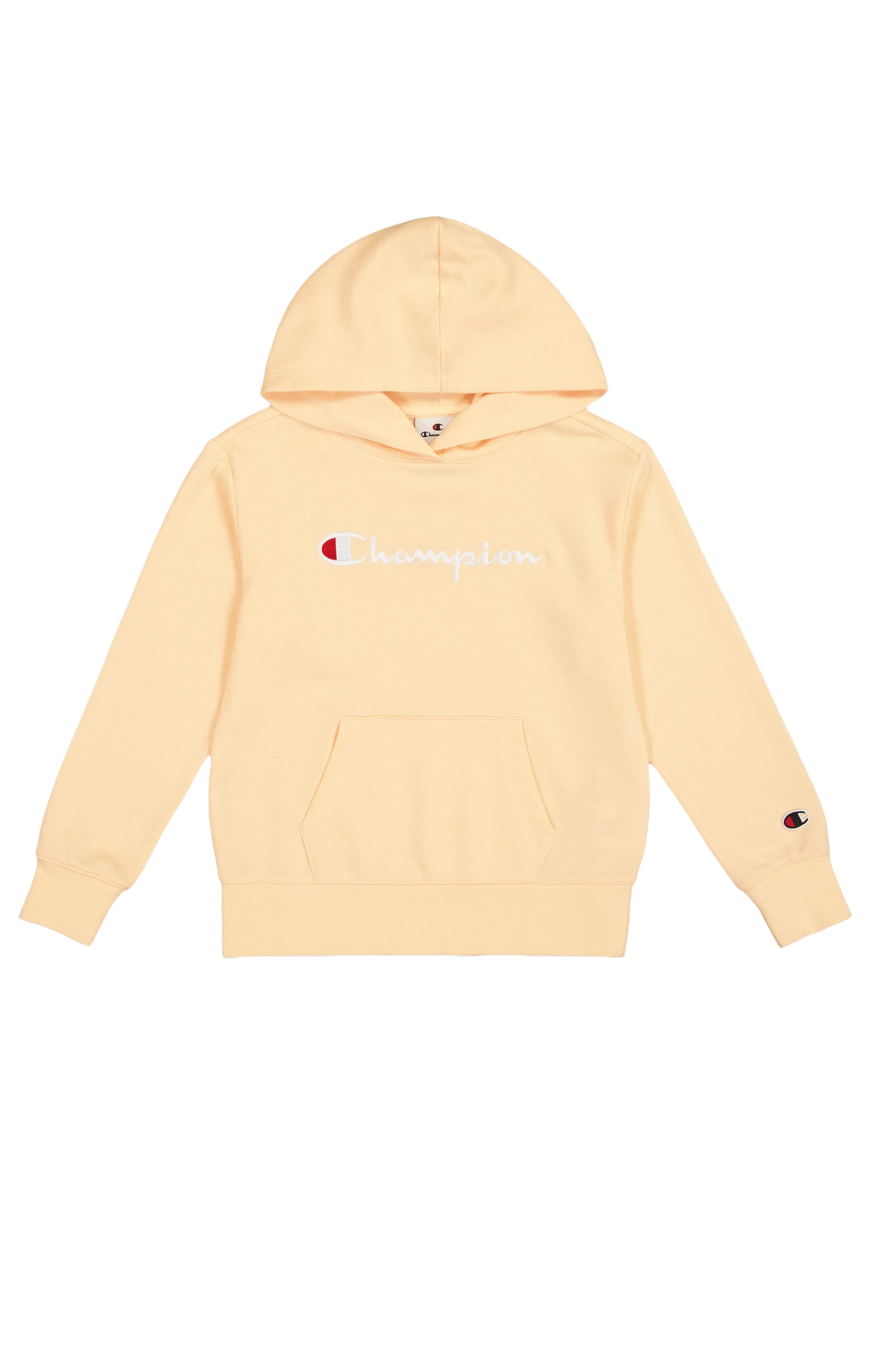 Big Logo Icons Hooded Sweatshirt