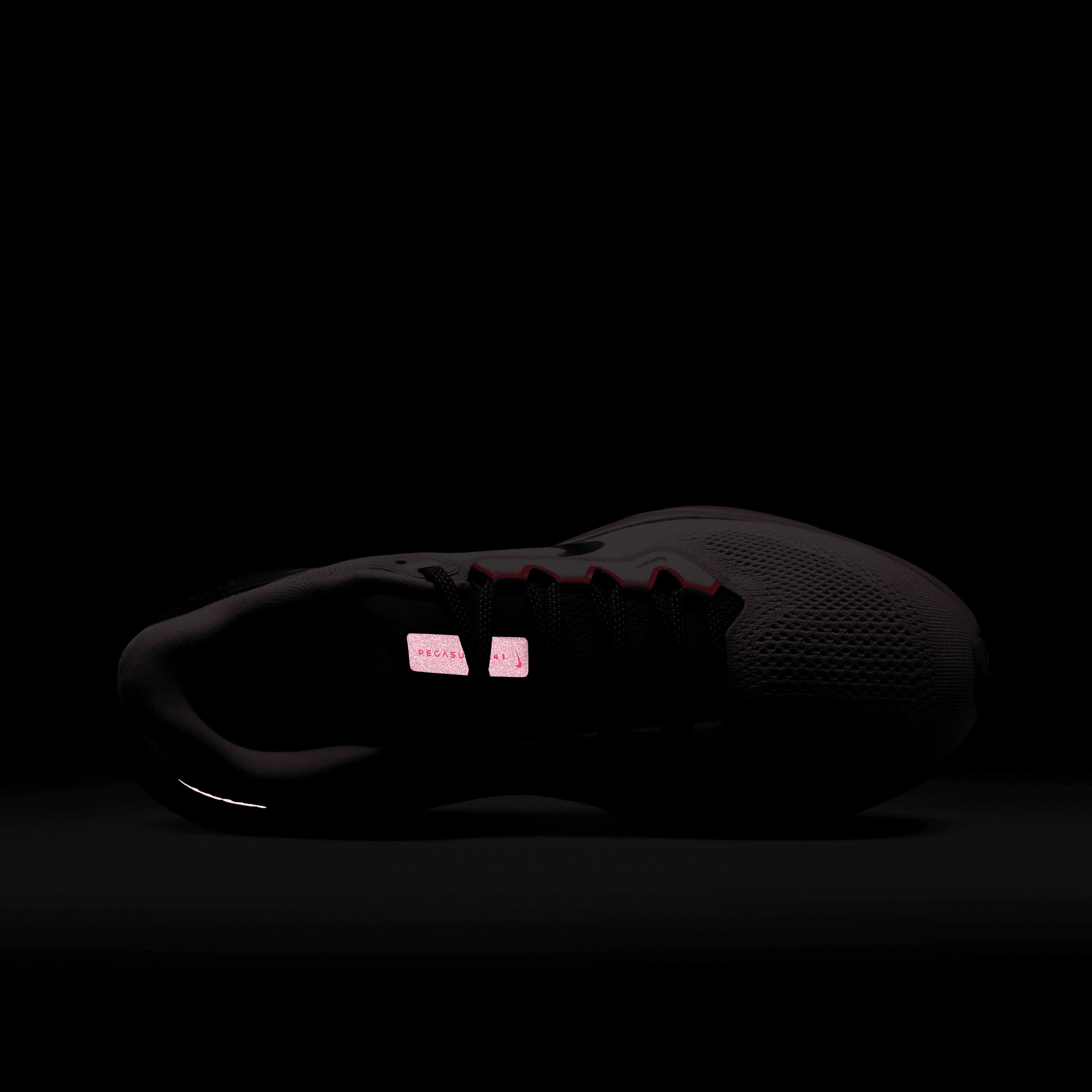 Pegasus 41 "Faith Kipyegon"