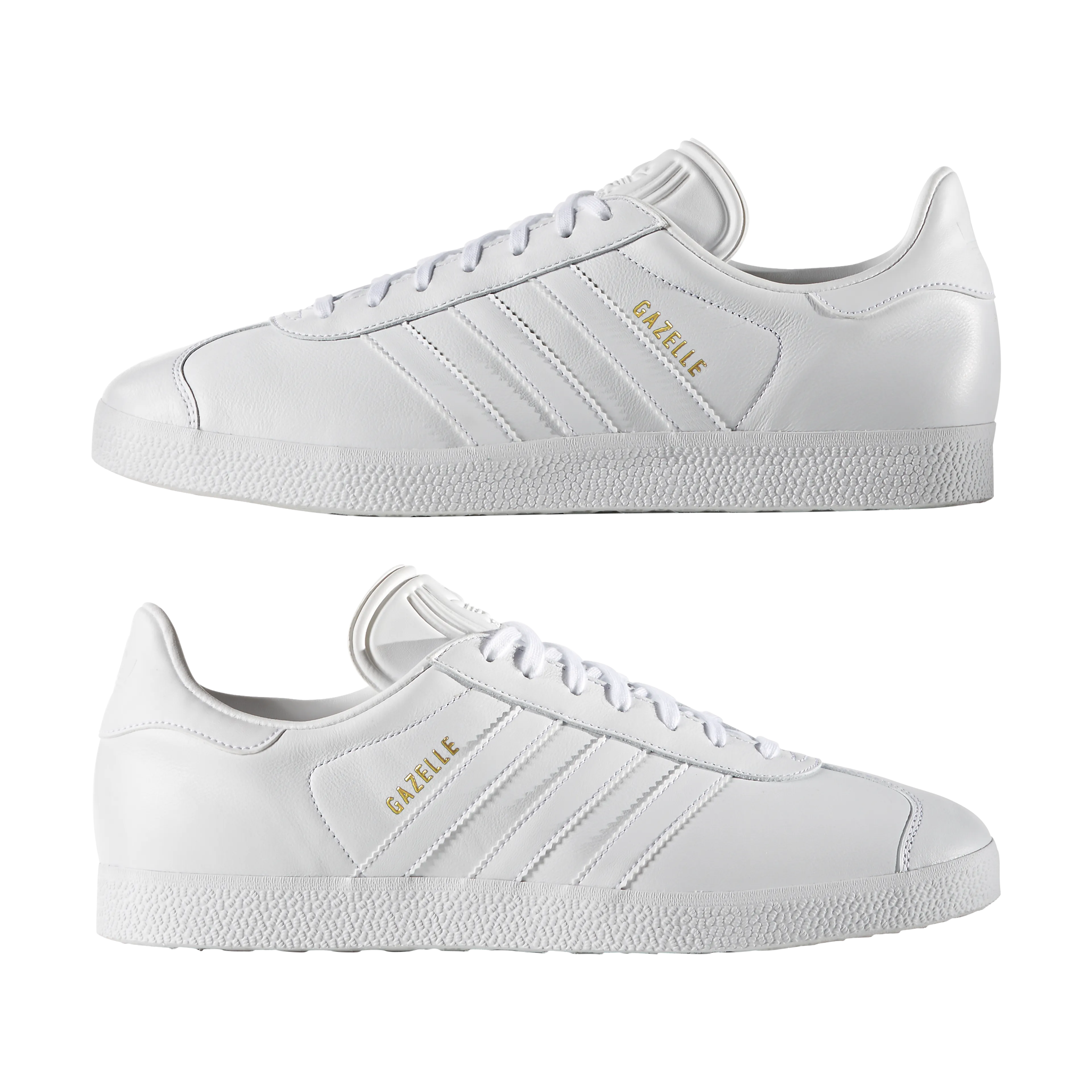 Gazelle