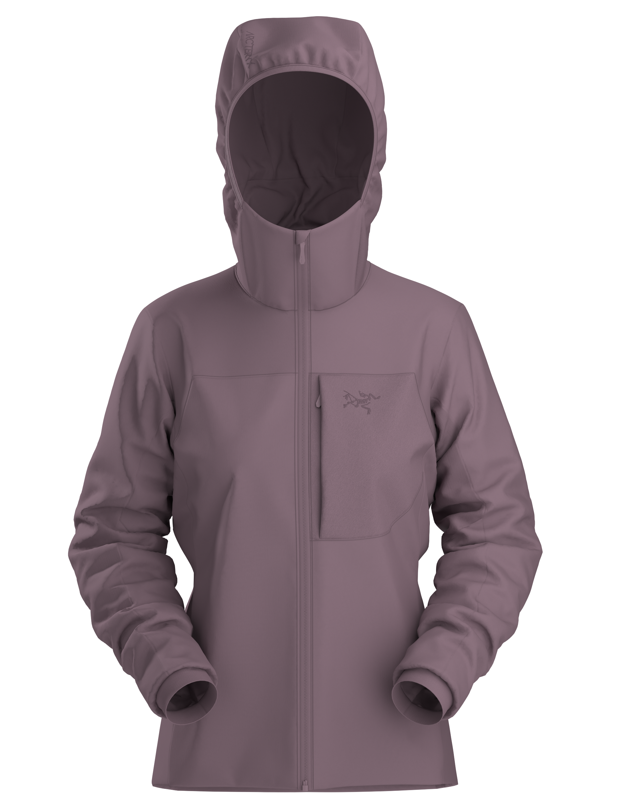 Proton Hoody W