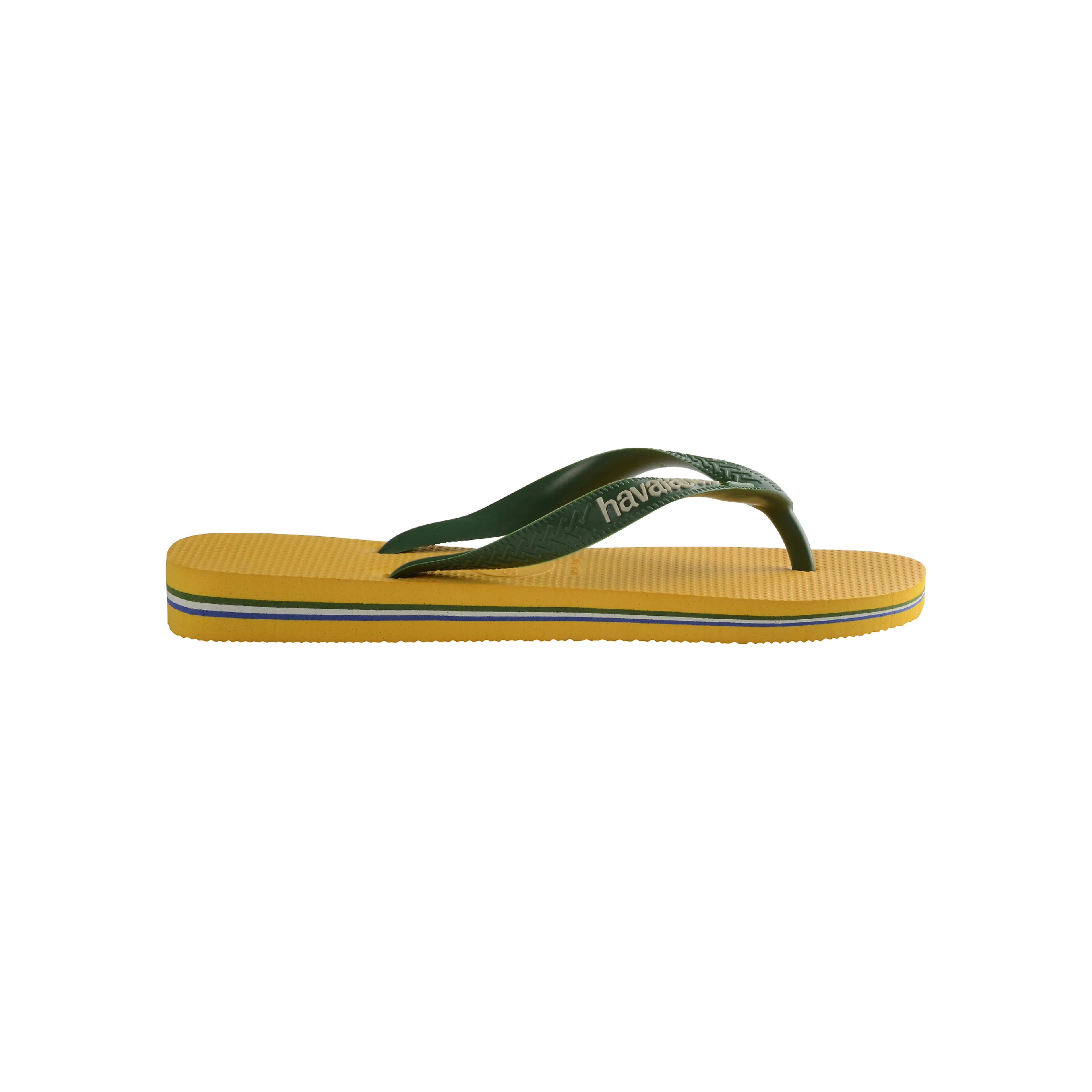 HAV BRASIL LOGO HAV BRASIL LOGO