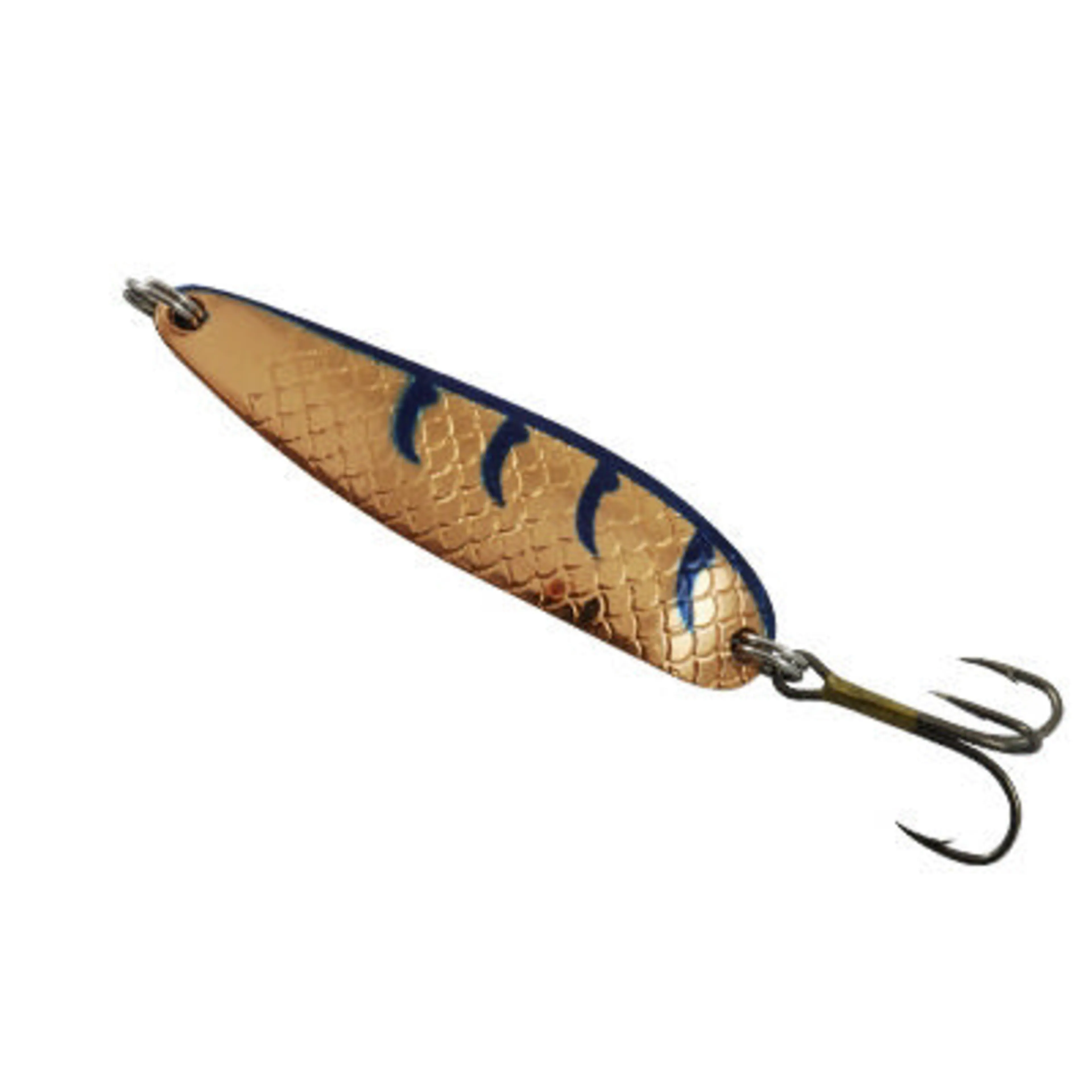 Buch Salmon