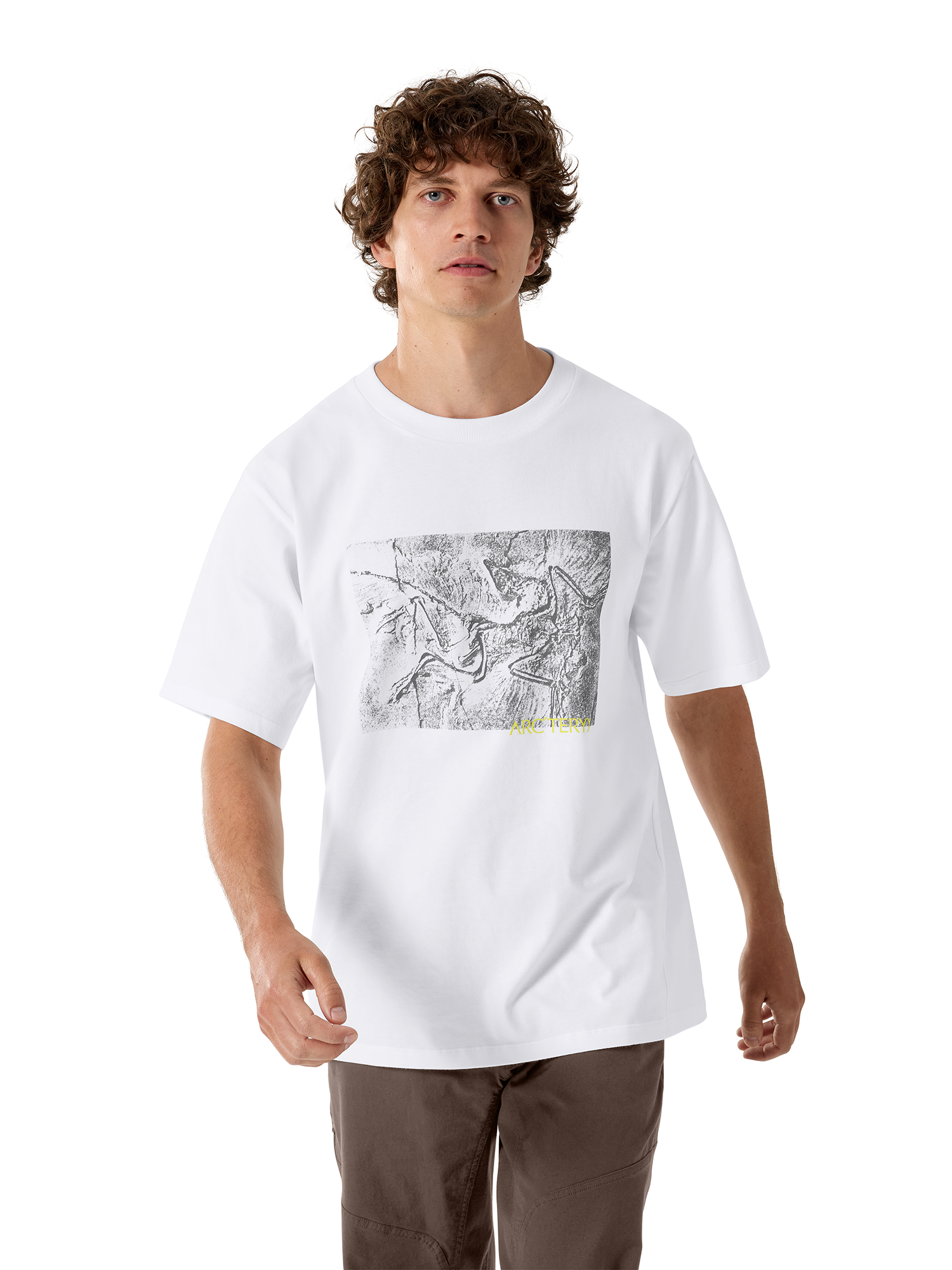 Kragg Cotton Lithographica SS M