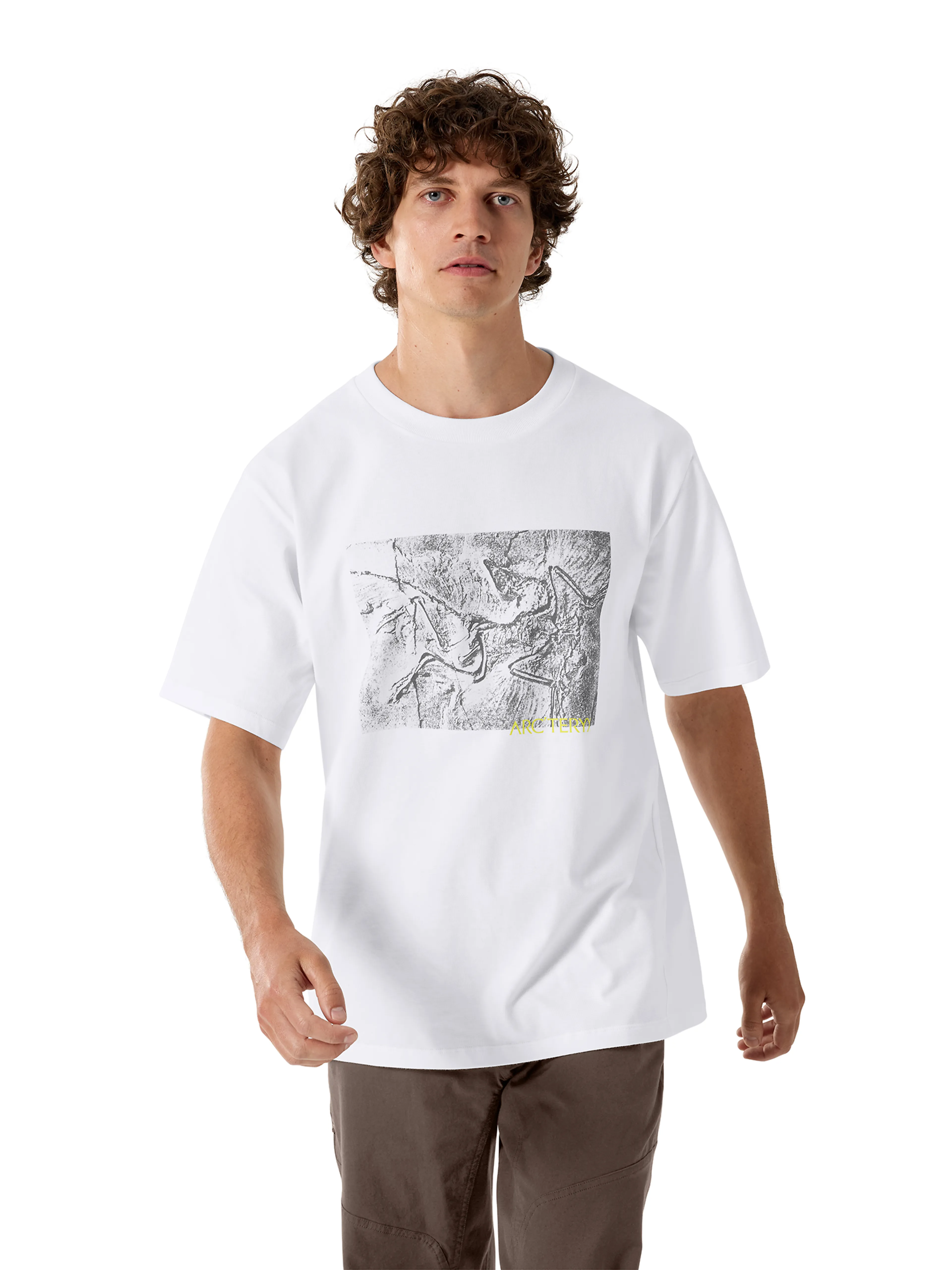 Kragg Cotton Lithographica SS M