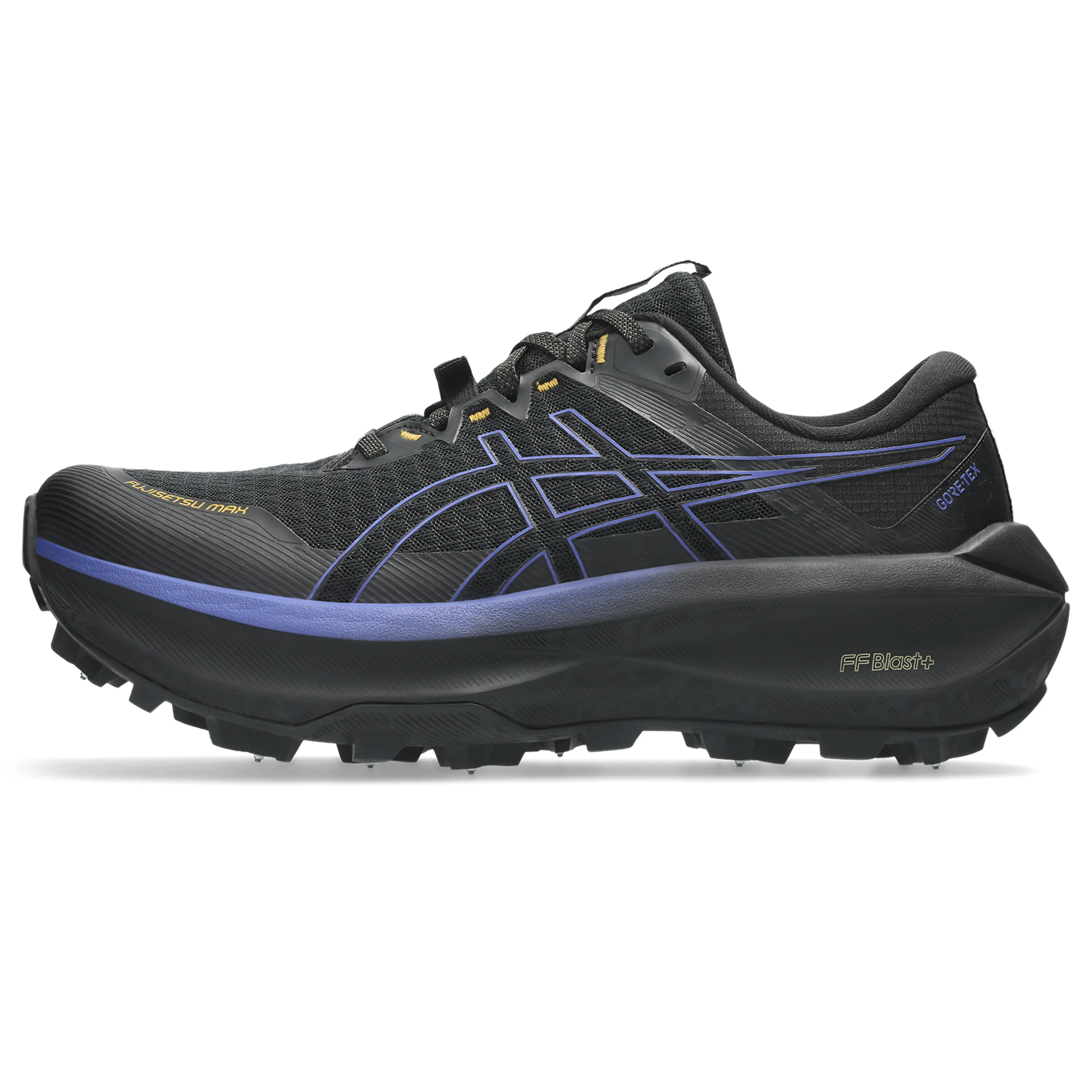 FUJISETSU MAX GTX