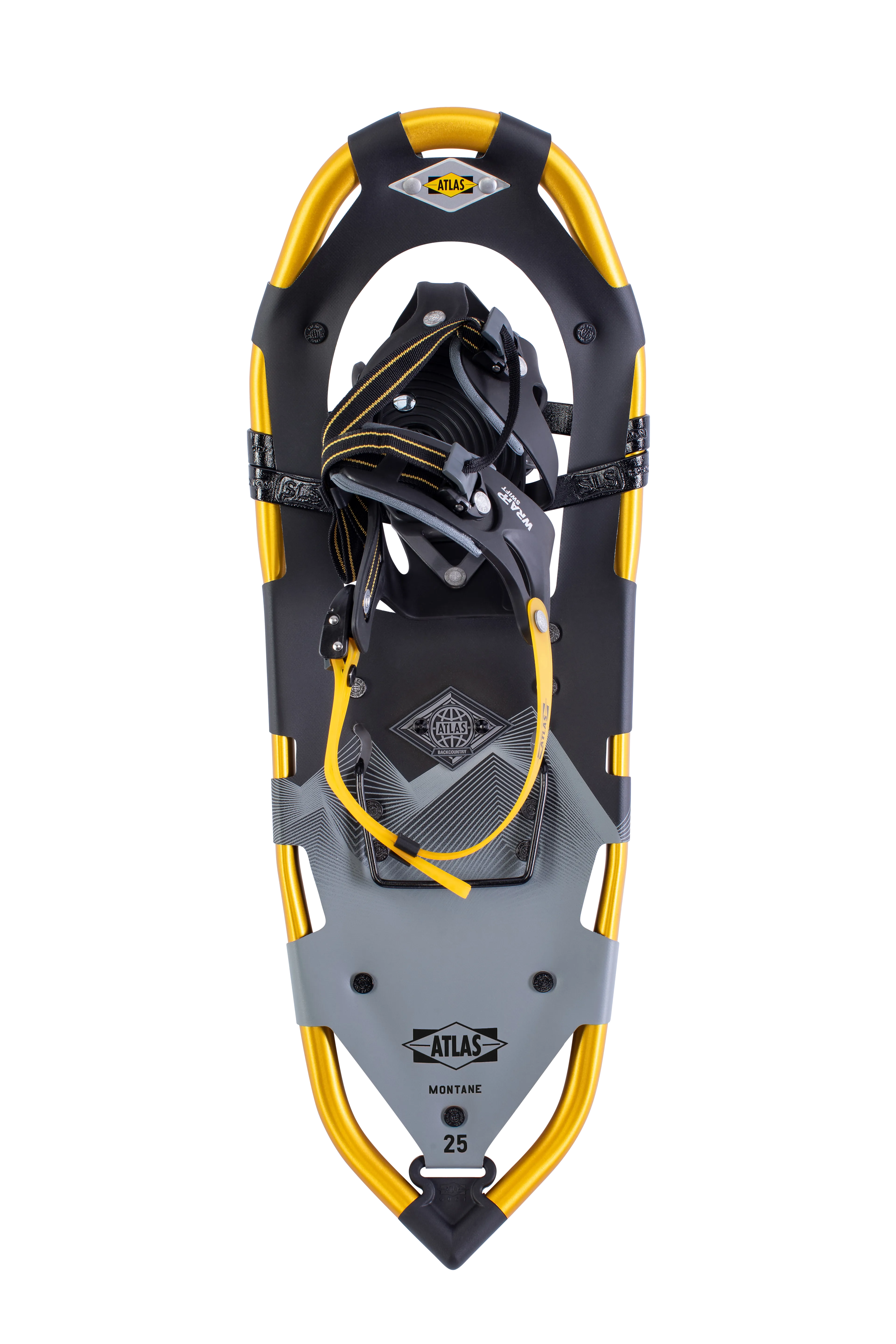 Montane