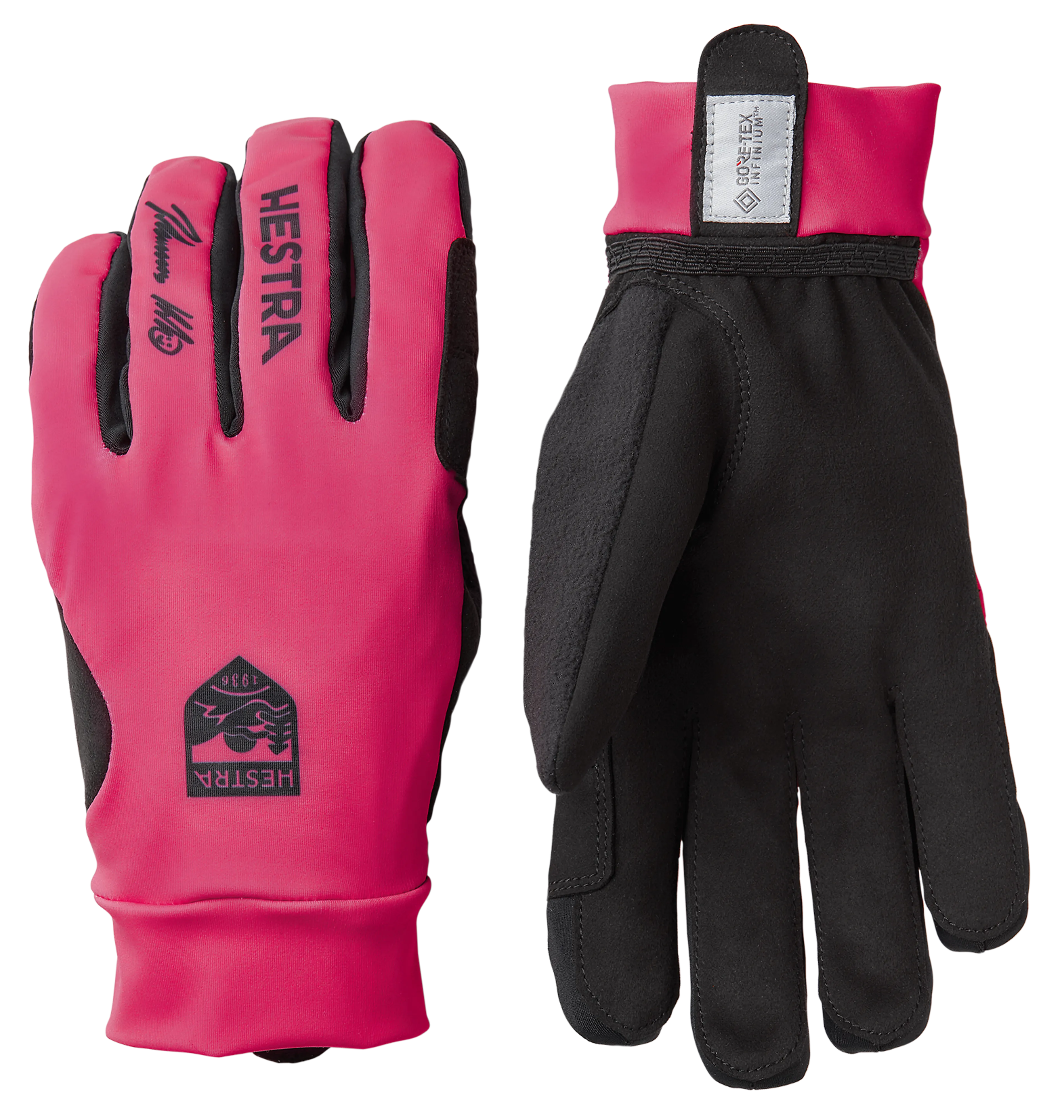 Fuchsia