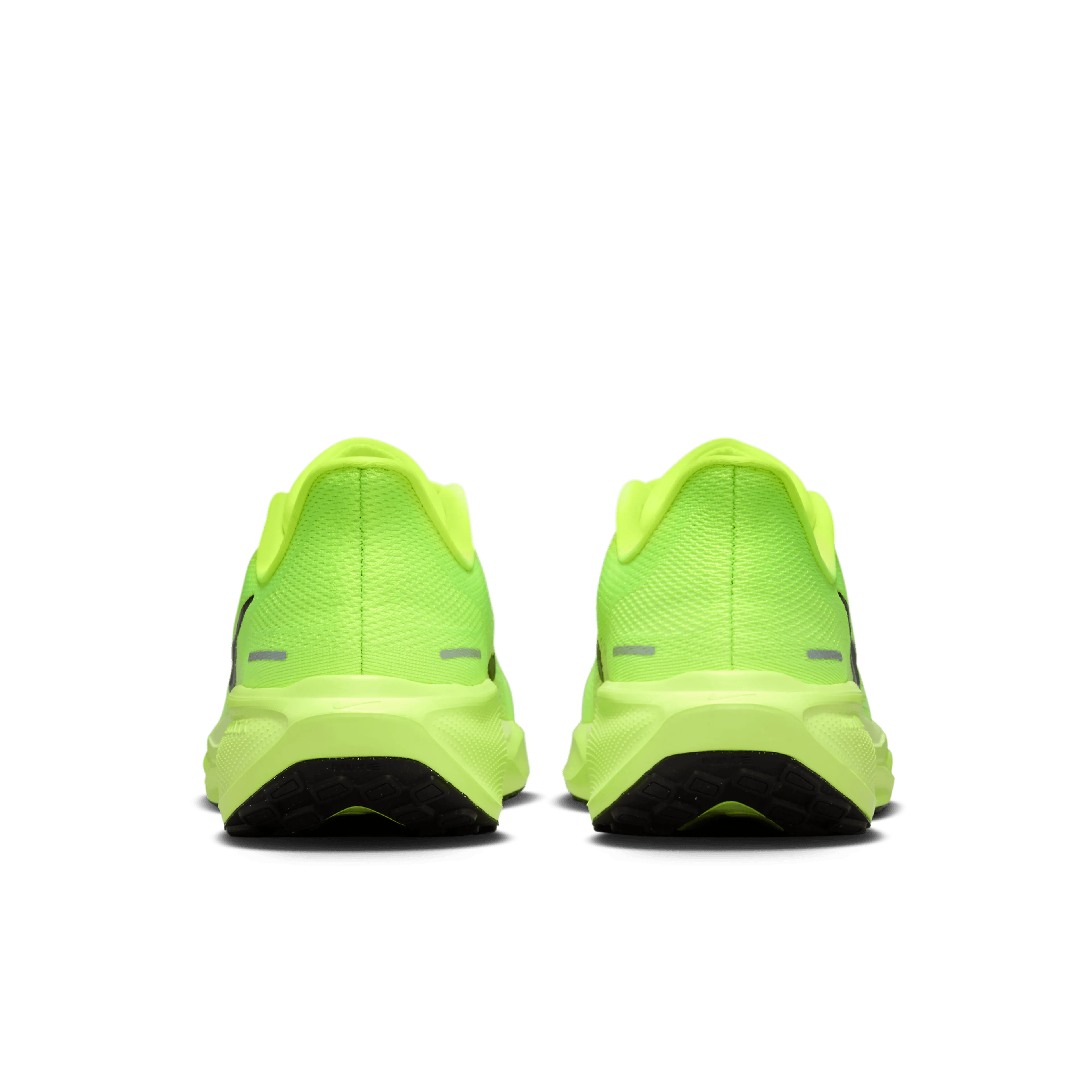  Pegasus 41