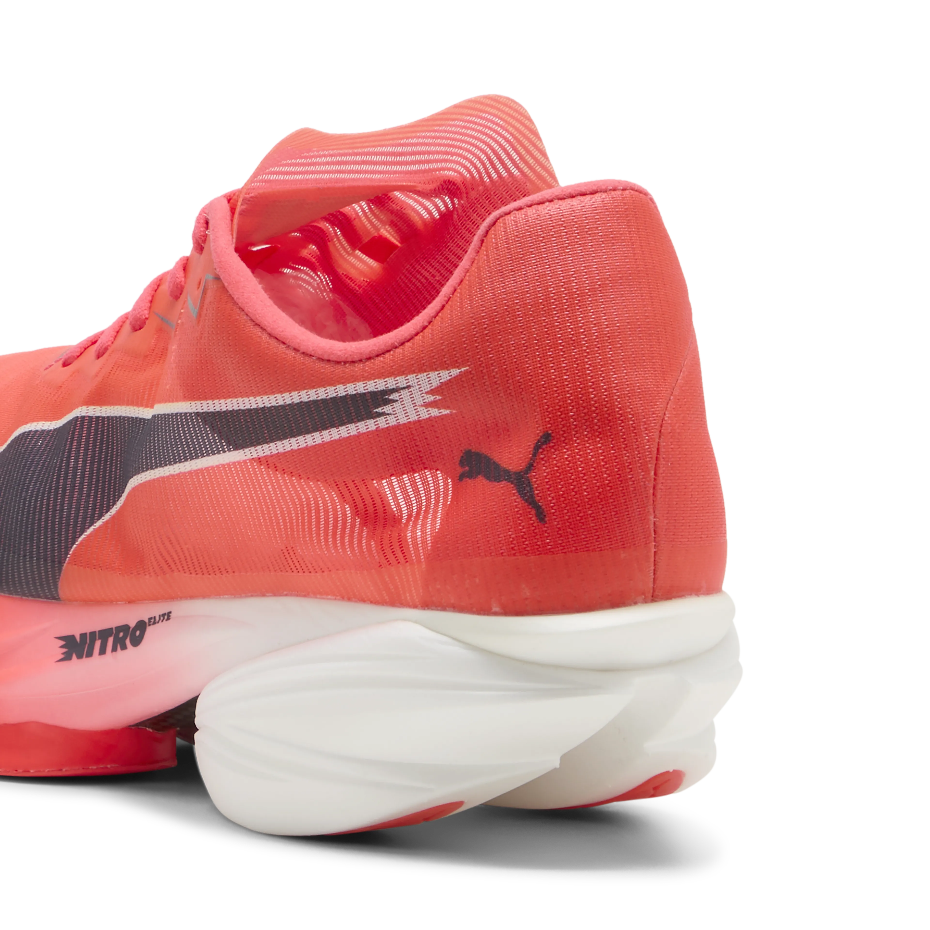 Fast-R Nitro Elite 3