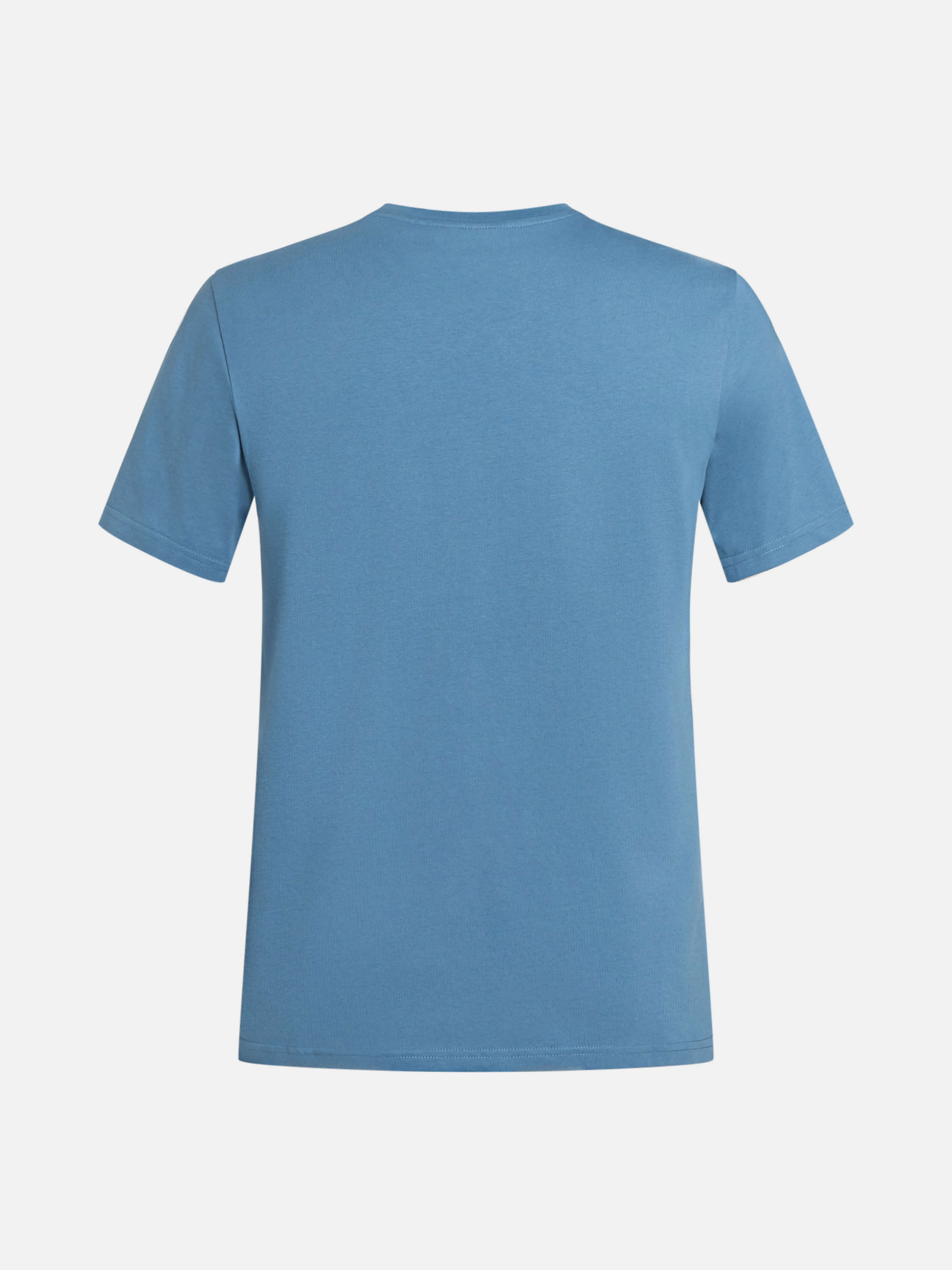 Big Logo t-skjorte herre