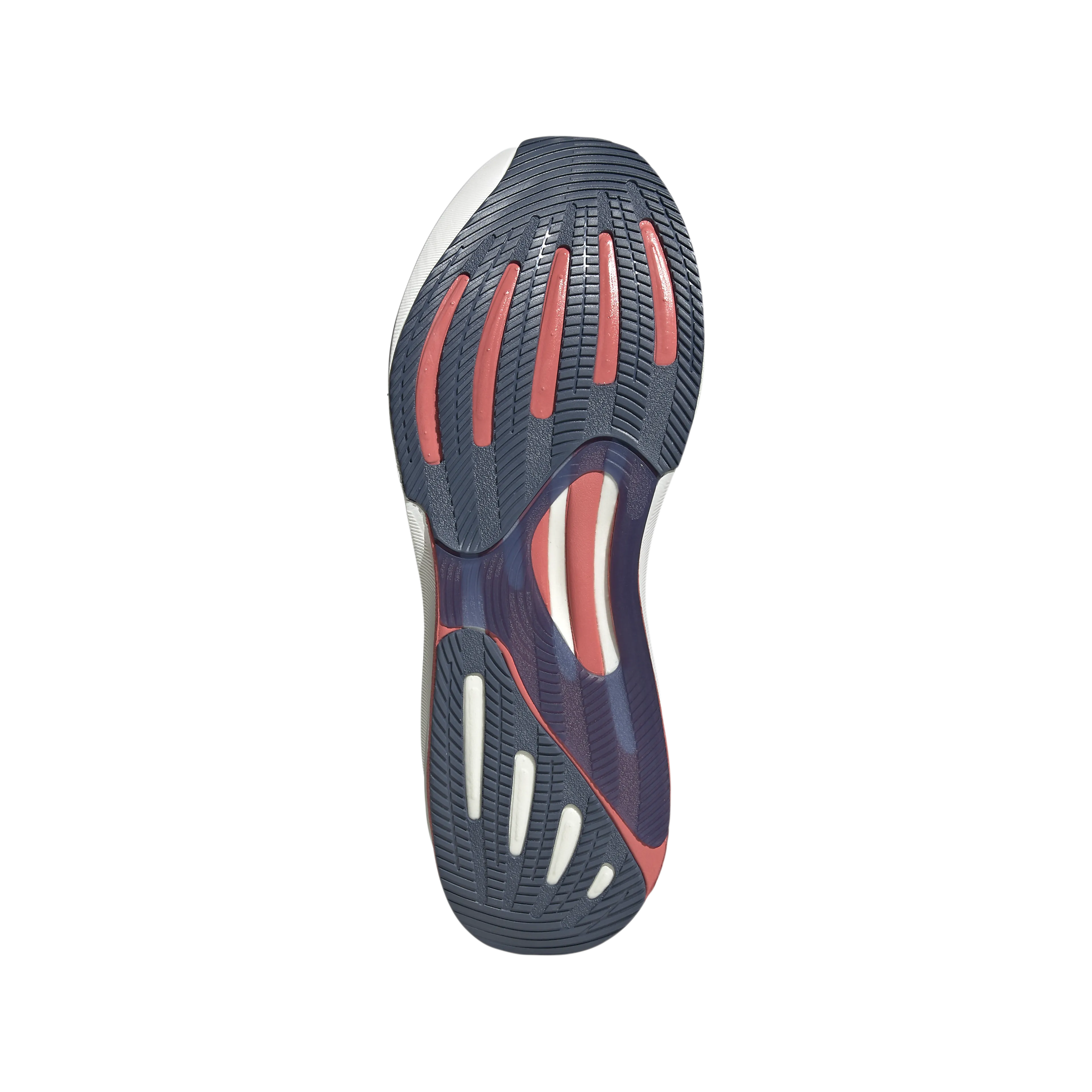 SUPERNOVA RISE 2 M