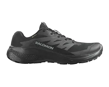 Salomon Alphaglide GTX