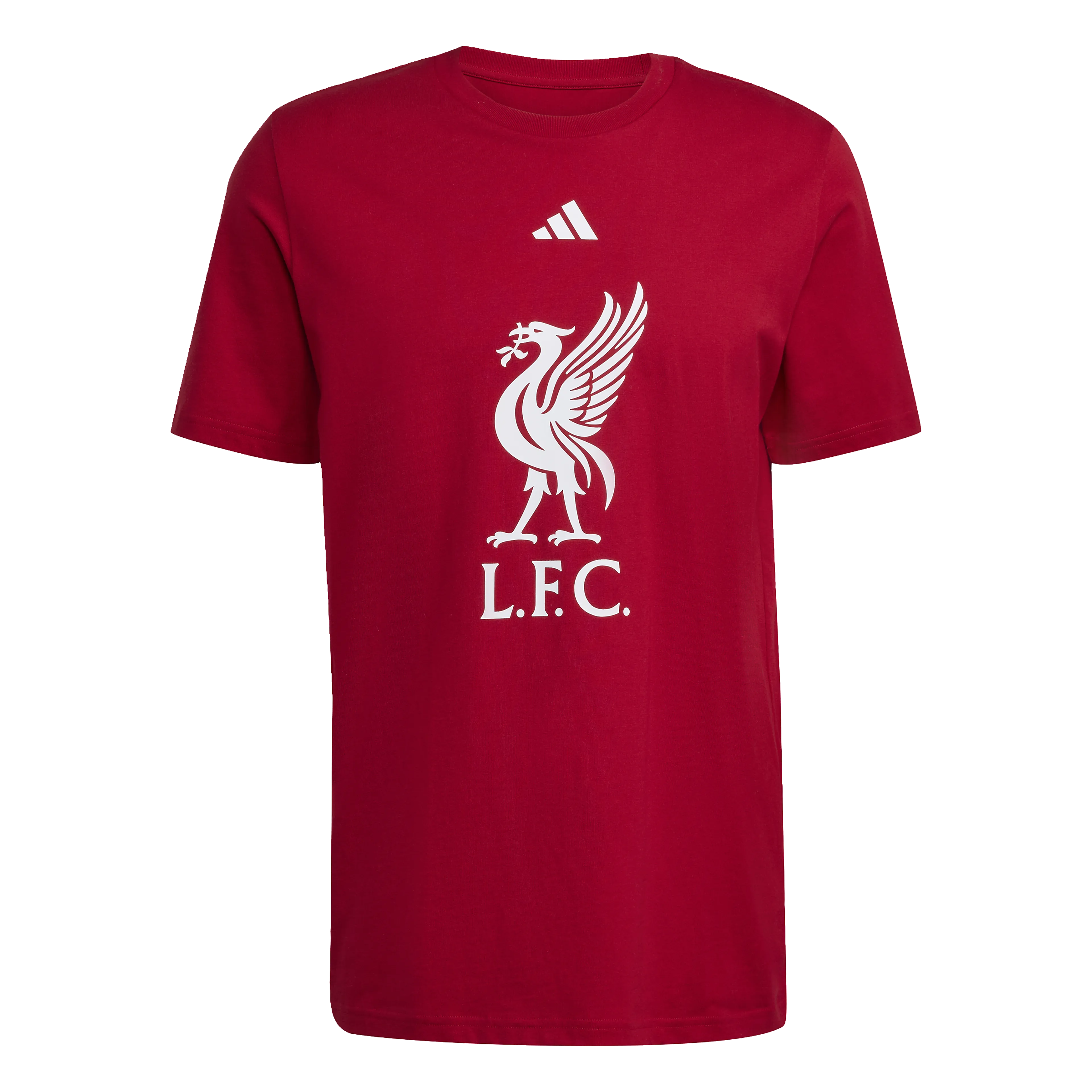 Liverpool FC DNA Graphic T-Skjorte