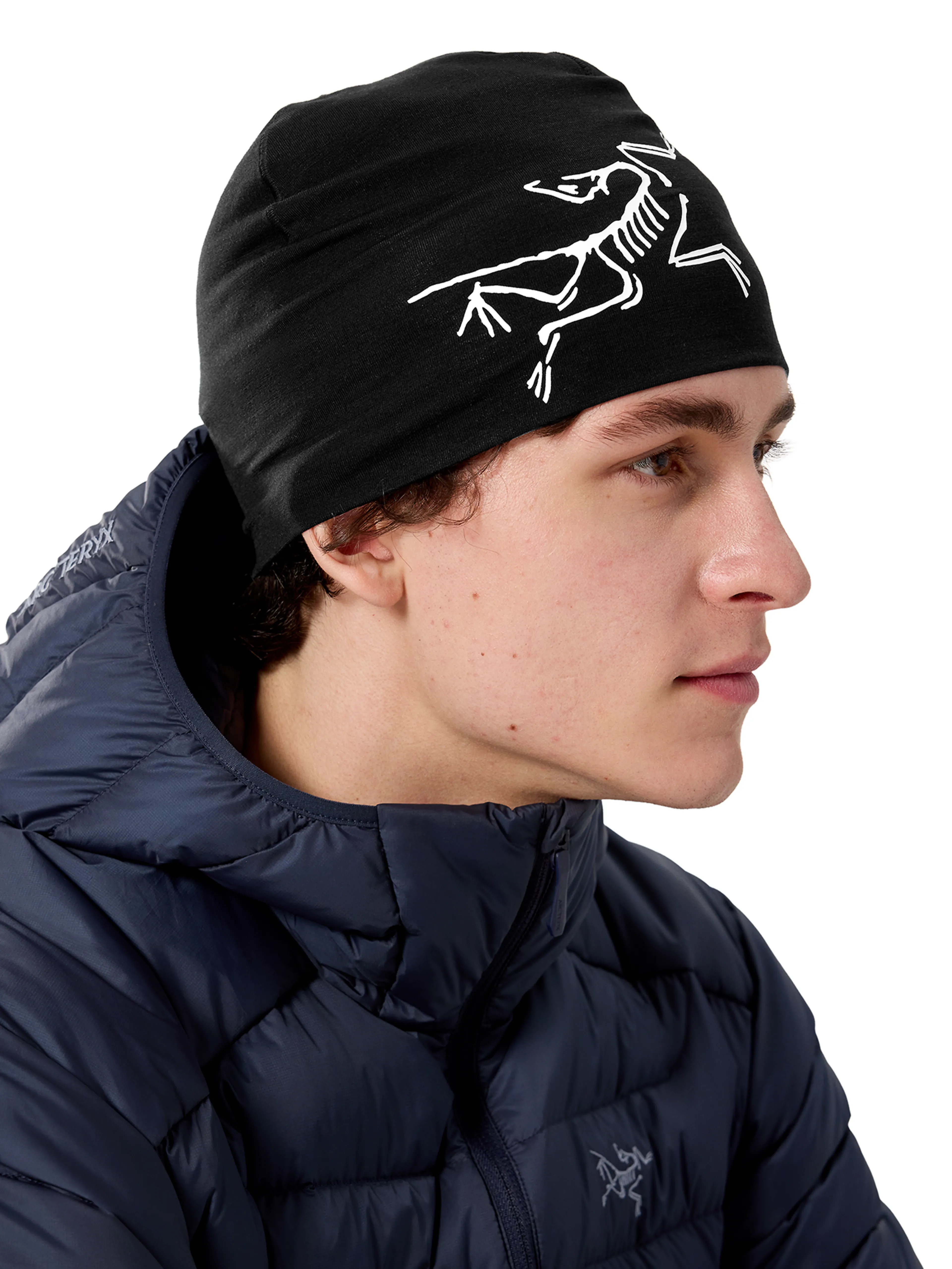 Satoro Merino Toque