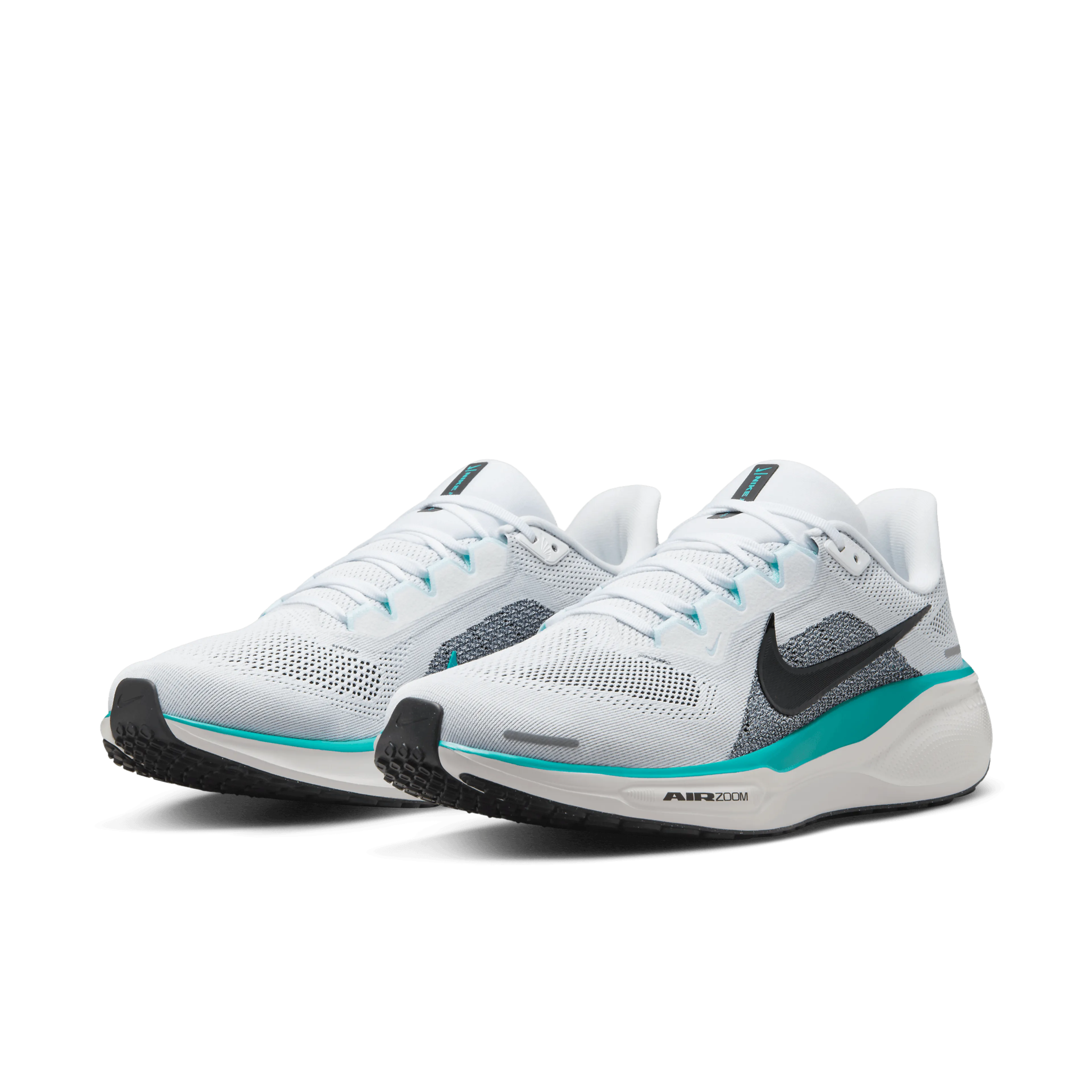  Pegasus 41