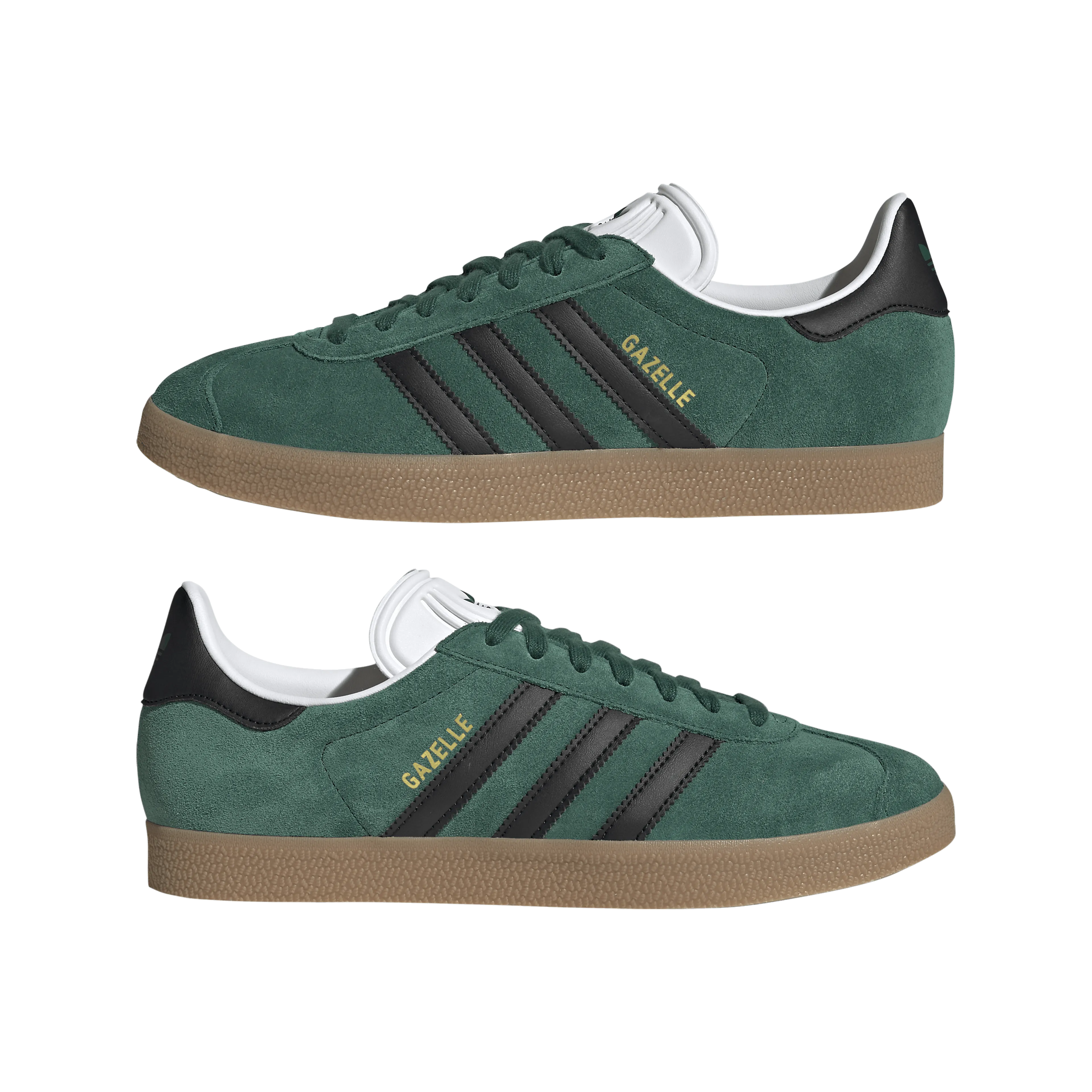 Gazelle