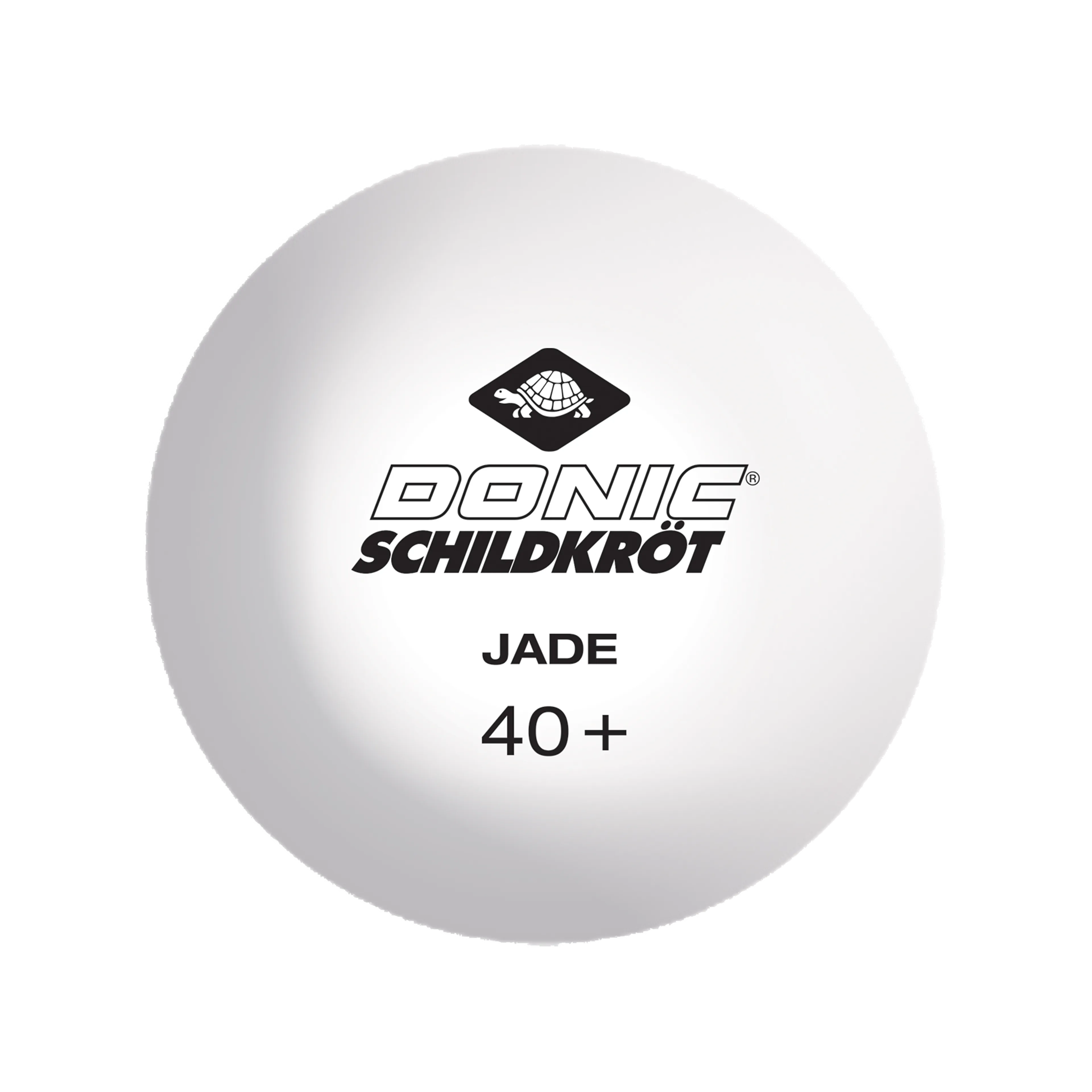 1-Star Bortennisball Elite 12 stk.