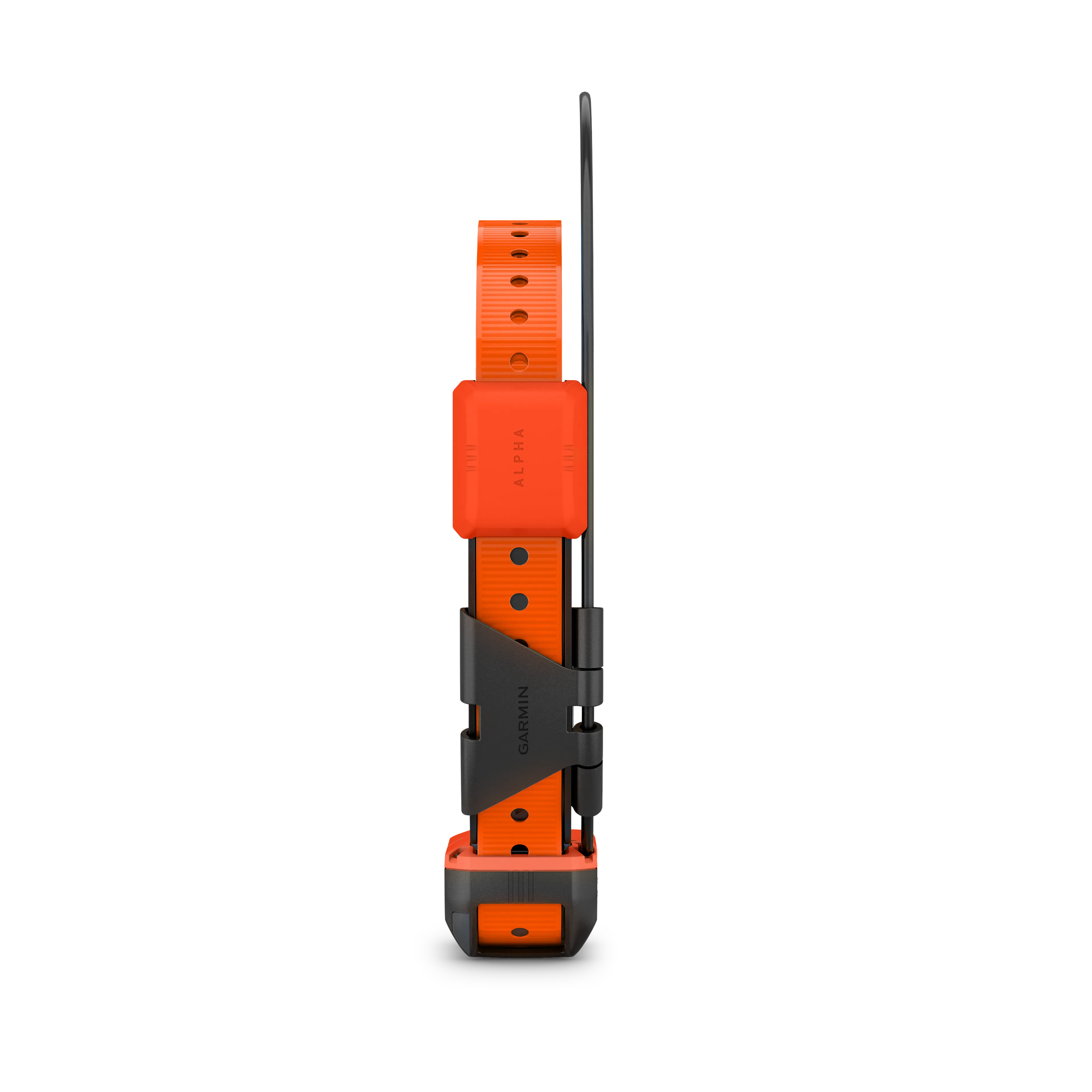 Alpha T20 GPS collar, Nordic