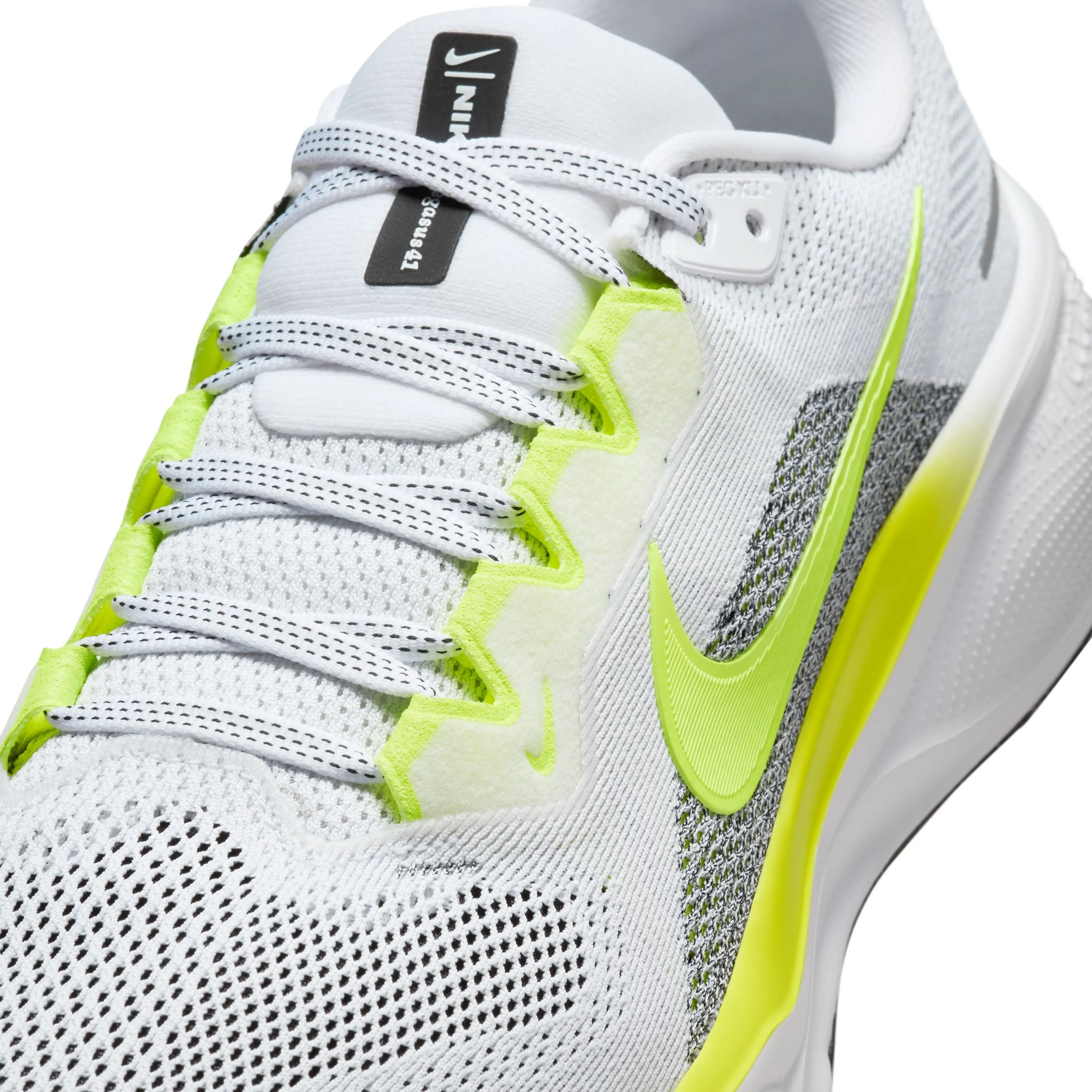  Pegasus 41